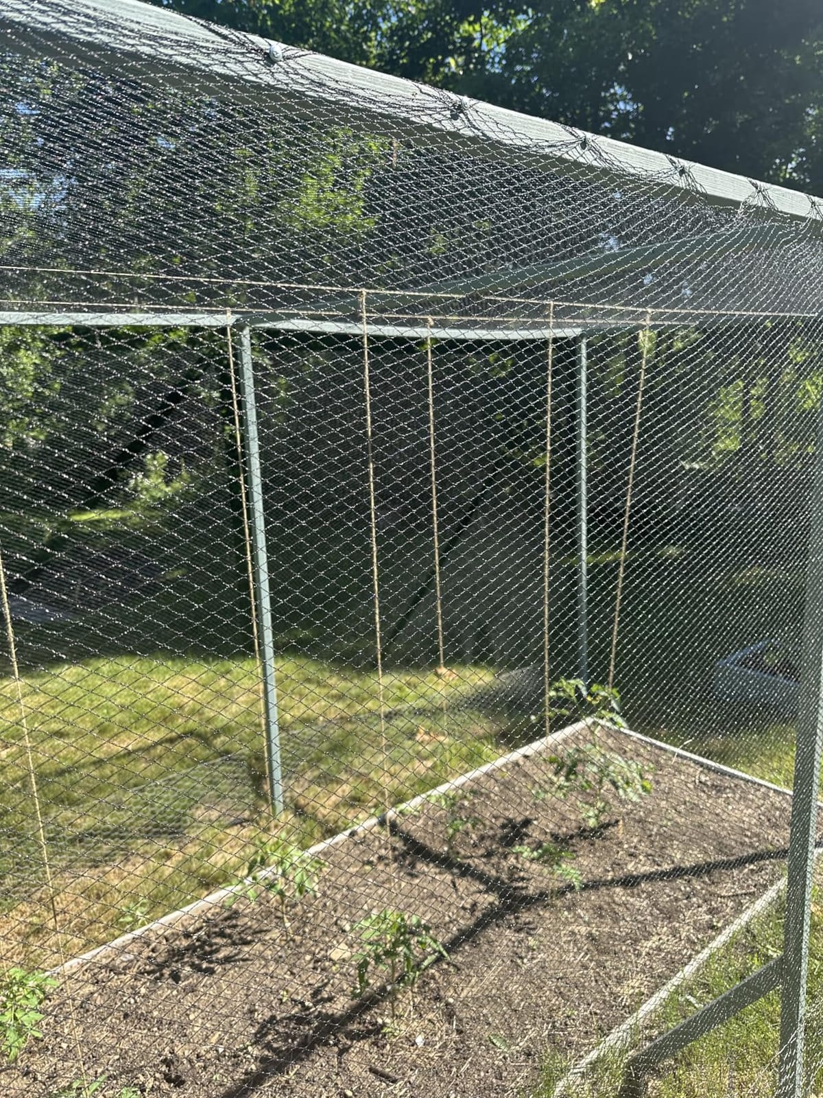 AlpineReach Garden Netting 7.5 x 100 ft Heavy Duty Bird Net, Deer, Plant Protection Extra Strong Woven Mesh, Reusable Kit with Zip Ties, Animal Fencing for Fruits Trees, Green customer photo 1