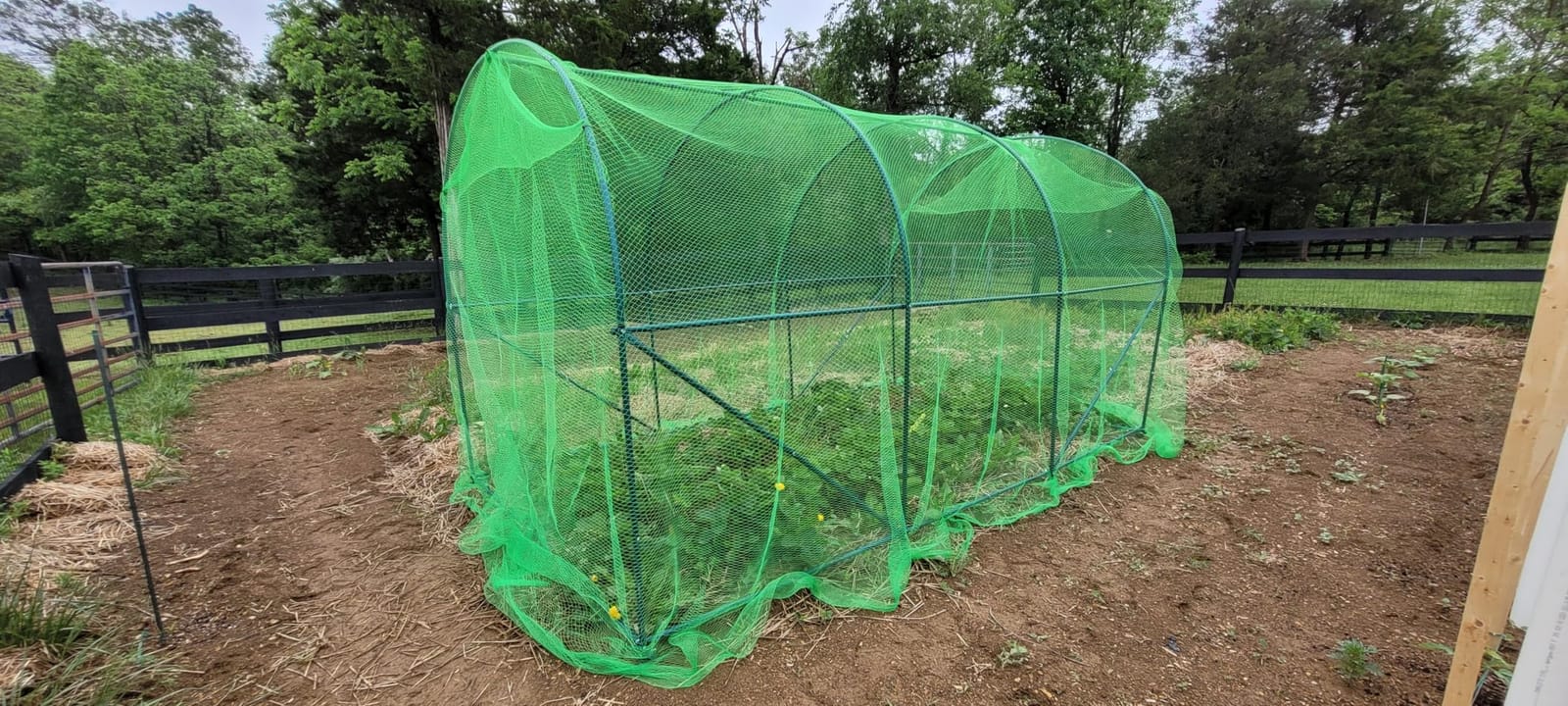 AlpineReach Garden Netting 7.5 x 100 ft Heavy Duty Bird Net, Deer, Plant Protection Extra Strong Woven Mesh, Reusable Kit with Zip Ties, Animal Fencing for Fruits Trees, Green customer photo 2