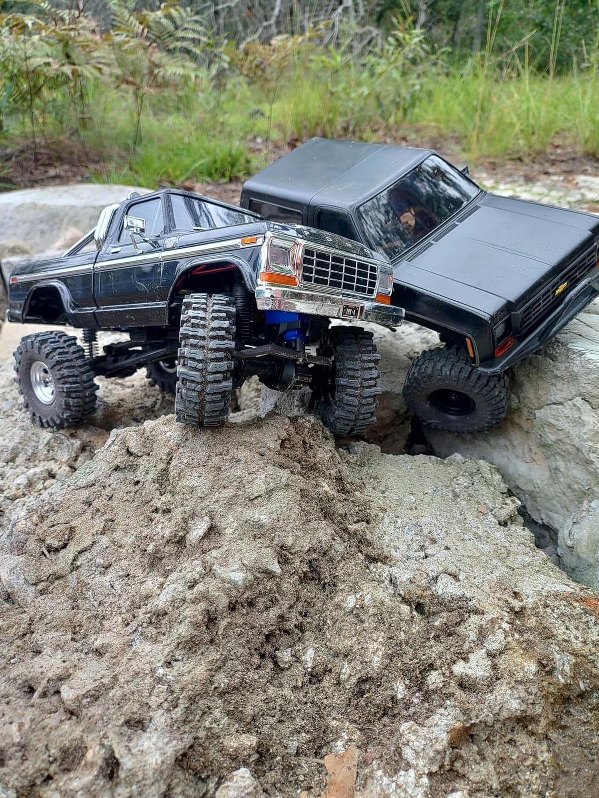 Traxxas 1/18 TRX-4M F-150 High Trail Crawler Truck customer photo 2