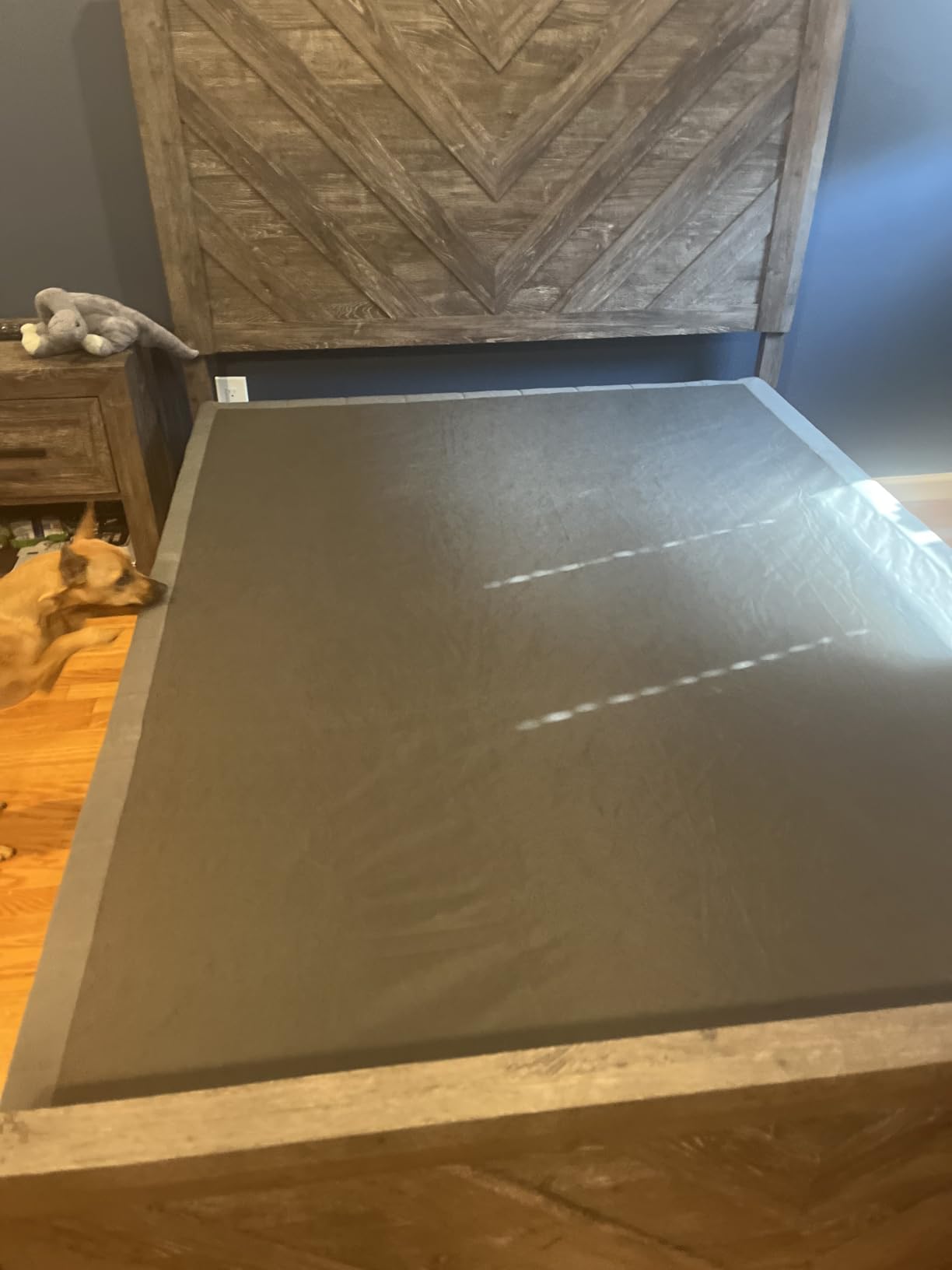 SHLAND King Box Spring, 5 Inch Box Springs King Size Basics Bed Base, Mattress Foundation, Black Heavy Duty Metal Structure with Cover, Noise Free, Easy Assembly customer photo 1