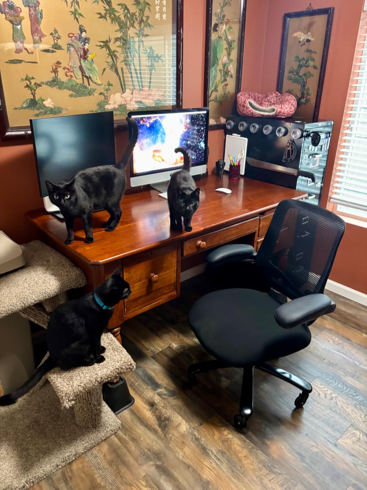Kassipo Big and Tall Office Chair with Flip-Up Armrests, Black | 500LBS Capacity, Spring-Reinforced Memory Foam Seat & Heavy-Duty Base customer photo 2