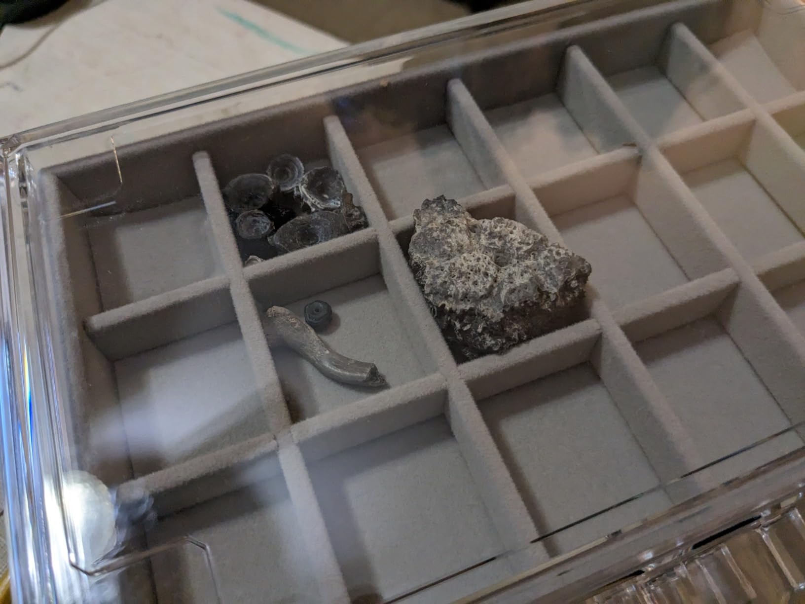 Rock Display Case, Rock Collection Box for Kids & Adults | Crystal Display Shelf, Organizer & Case for Gemstone, Fossil, Mineral | Rock Collection Display Case for All Collectibles customer photo 1