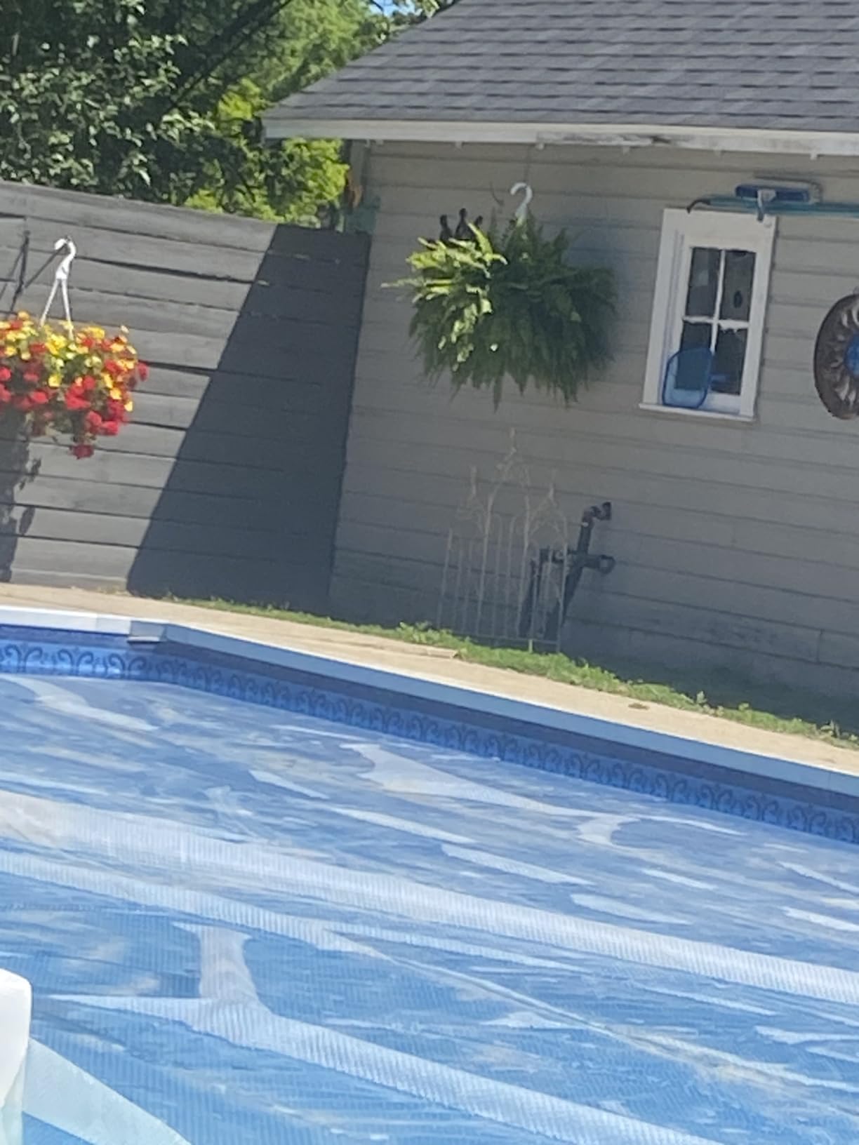 Pool Solar Blanket - Heavy Duty Rectangular Thermal Cover with Bubbles - Heat Transfer Solar Pool Heater for In-Ground Swimming Pools - Durable 12 Mil Thick Polyethylene customer photo 1