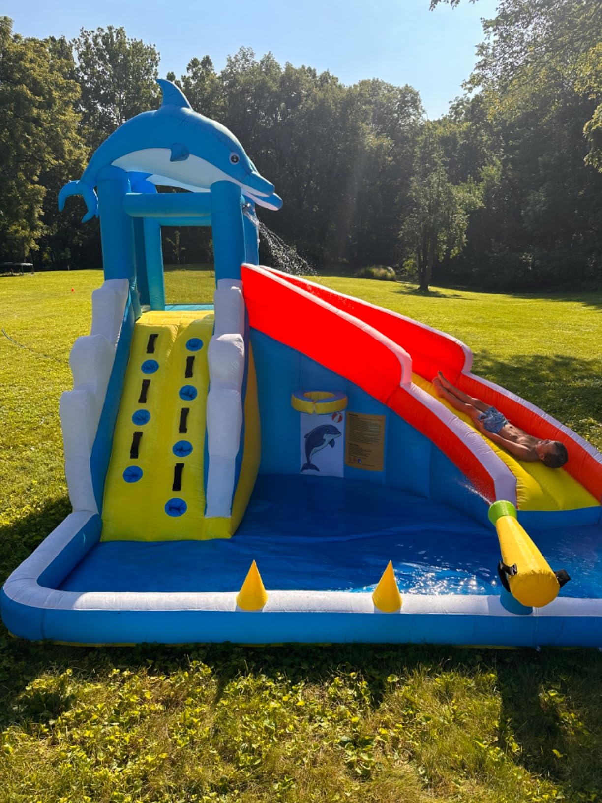 TOAOB Inflatable Water Slide, 5 in 1 Dolphin Inflatable Bounce House for Kids - Climbing Wall Splash Pool Water Cannon Basketball Rim - 480W Blower - for Indoor Outdoor Backyard Birthday Party customer photo 1