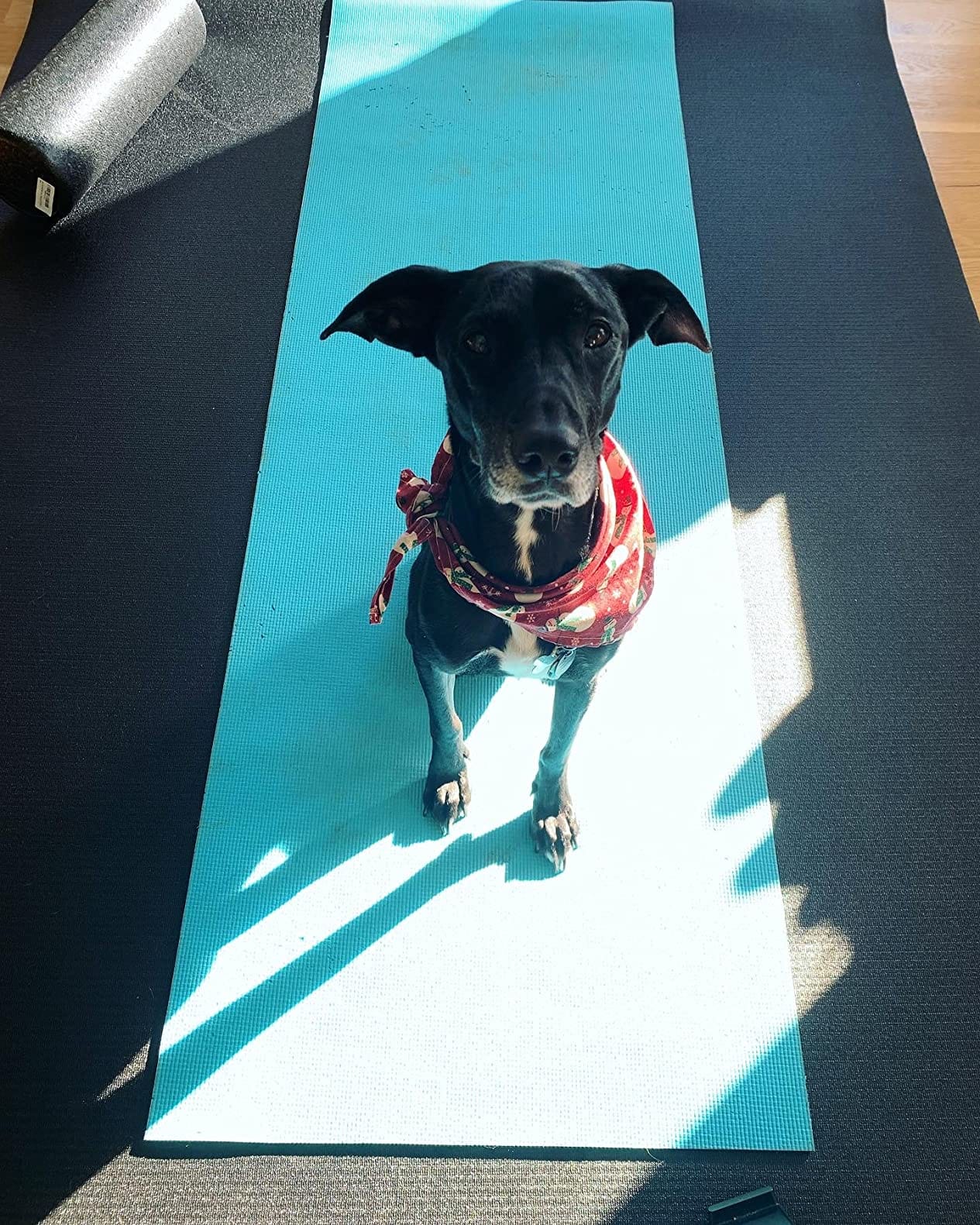 MRO Extra Large Exercise Mat 12'x7'/9'x7'/7'x7'/7'x5'(7mm) | High-Density Workout Mats for Home Gym Flooring, Extra Thick Cardio Mat, Non-Slip, Ideal for MMA, Jump Rope - Shoe Friendly customer photo 1