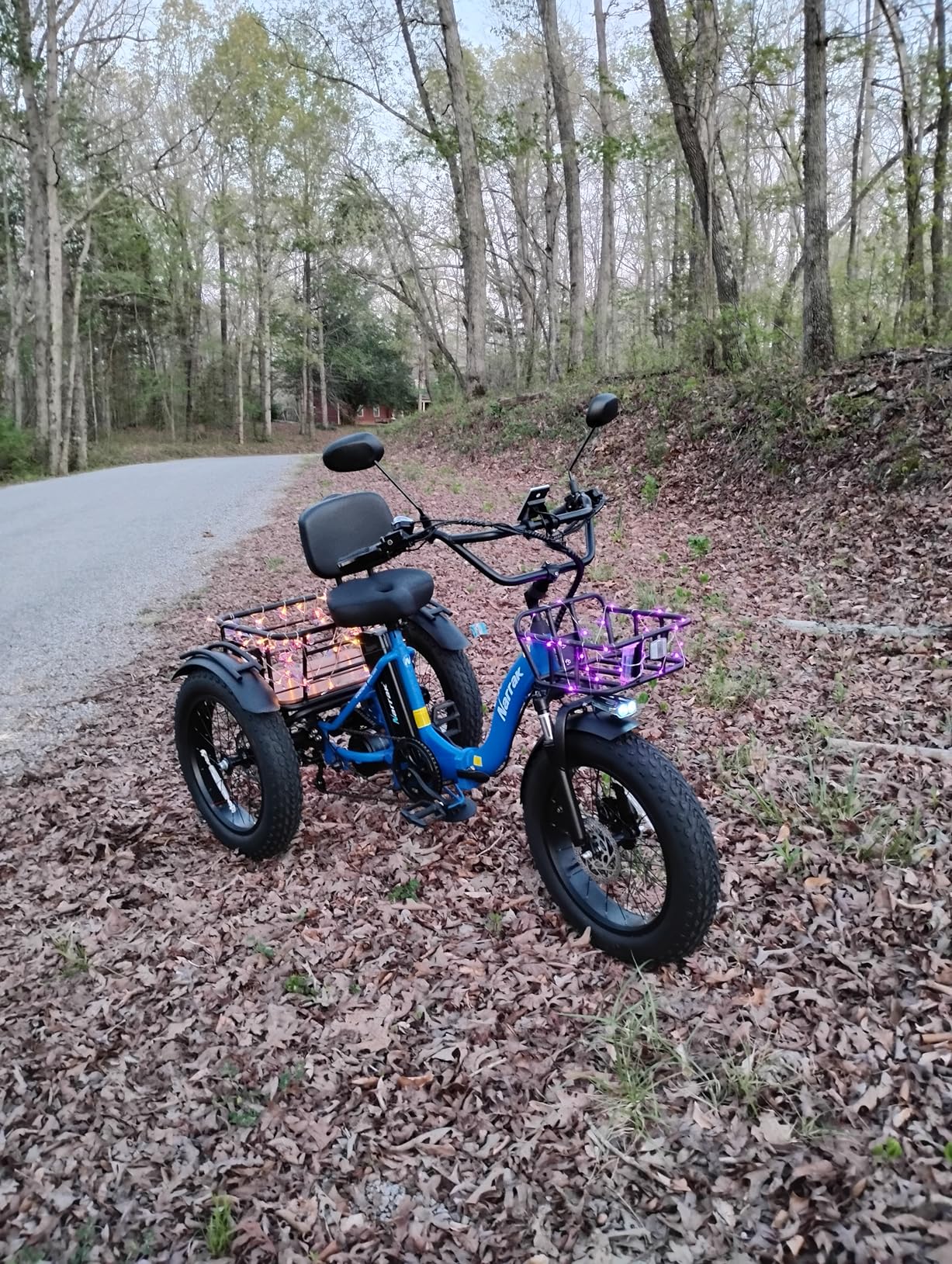 NARRAK Electric Tricycle for Adults,Fat Tire Folding Electric Trike,3 Wheels Electric Bicycle Bikes, Peak 1350W Step-Thru Etrike with Removable Battery and Large Basket customer photo 2
