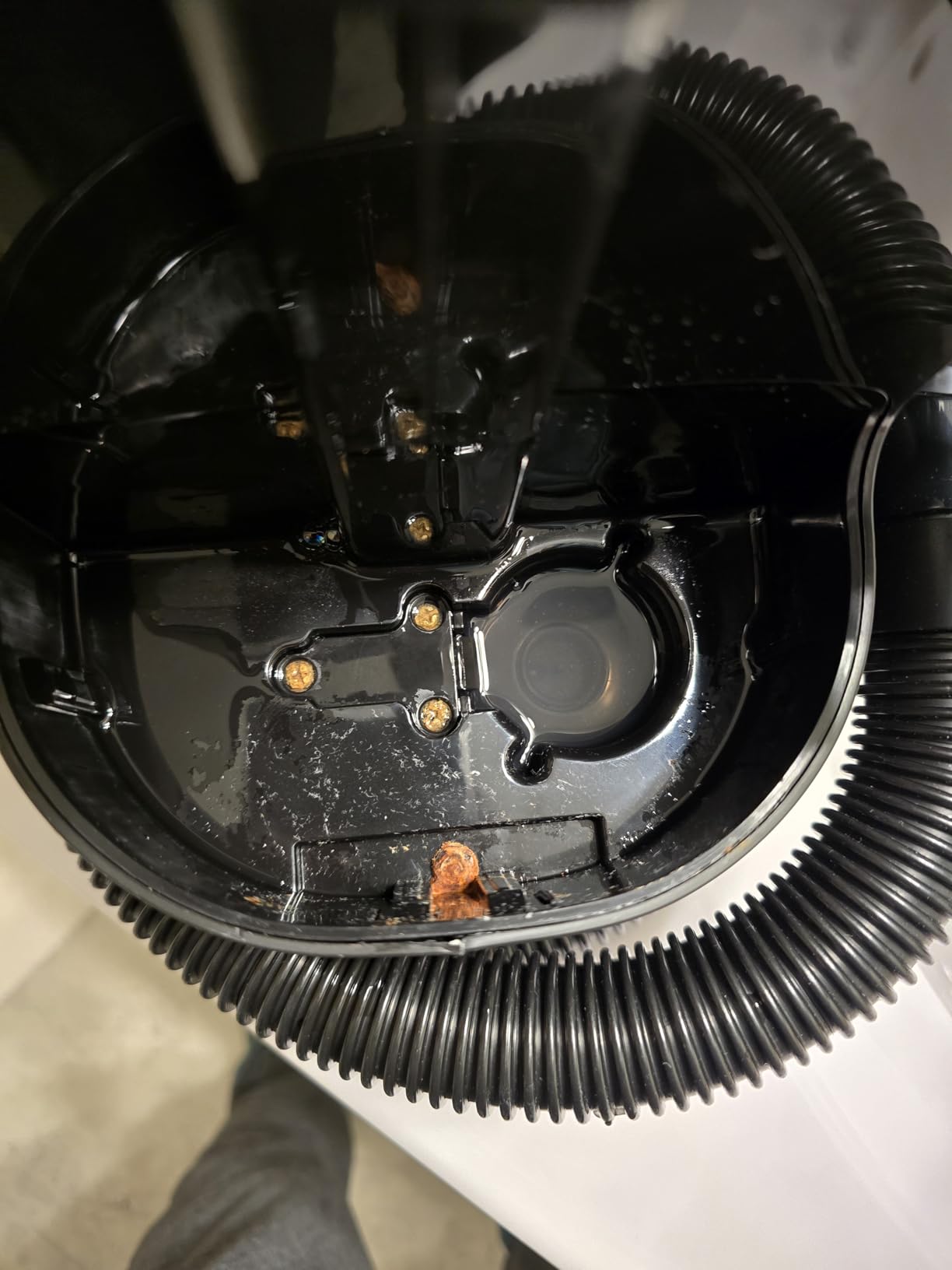 BISSELL Little Green Max Pet SmartMix Portable Carpet Cleaner 3355Q | HydroRinse Self-Cleaning Tool; 3-in. Tight Spot Tool; Pet Stain & Odor Eliminator; 11.7V customer photo 2