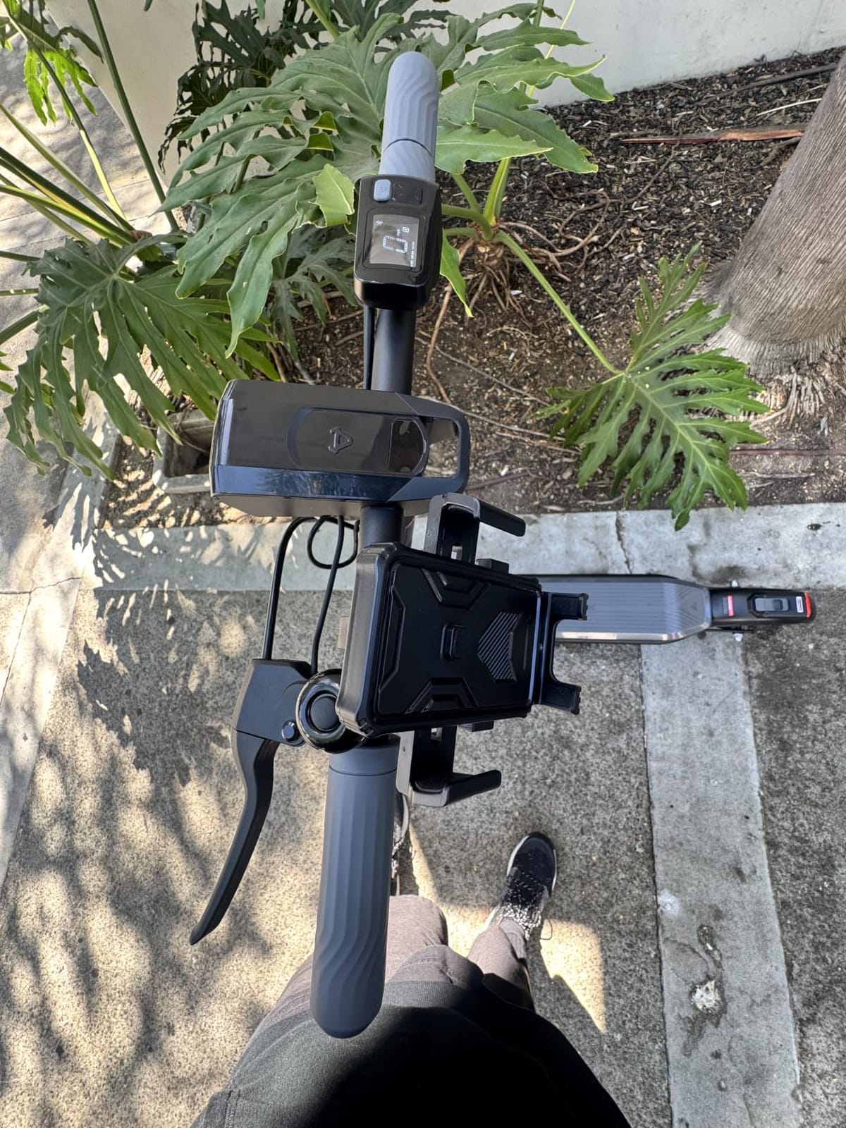 NIU 100P/100F/300P/300X Electric Scooter Adult - E Scooter with Suspension, 600-1000W Peak Power, 18-37.3 Miles Max Range, Top Speed 17.4-23.6MPH, Commuting E-Scooter customer photo 2