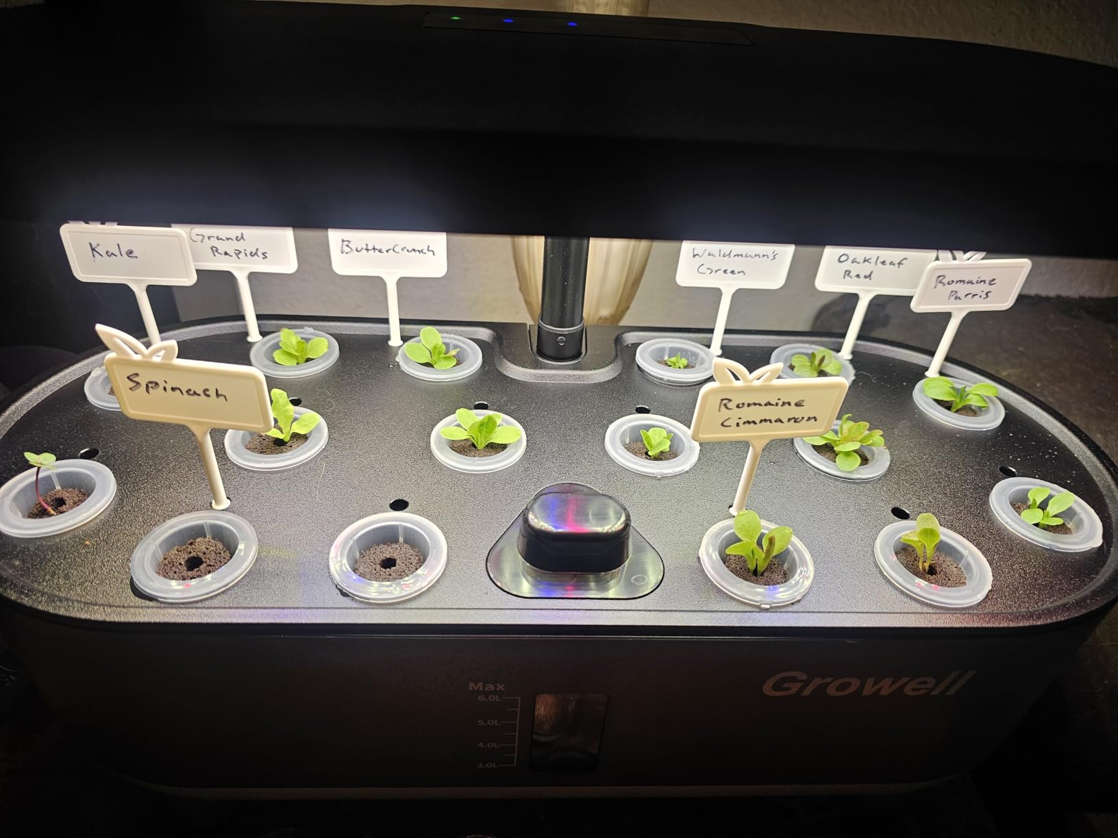 Growell Hydroponics Growing System Kit, 16 Pods Indoor Garden with 28W Full Spectrum LED Grow Light, Auto Timer, 3 Smart Light Modes, 8L Large Herb Garden, Ideal Gardening Gift for Women, Men (Black) customer photo 1