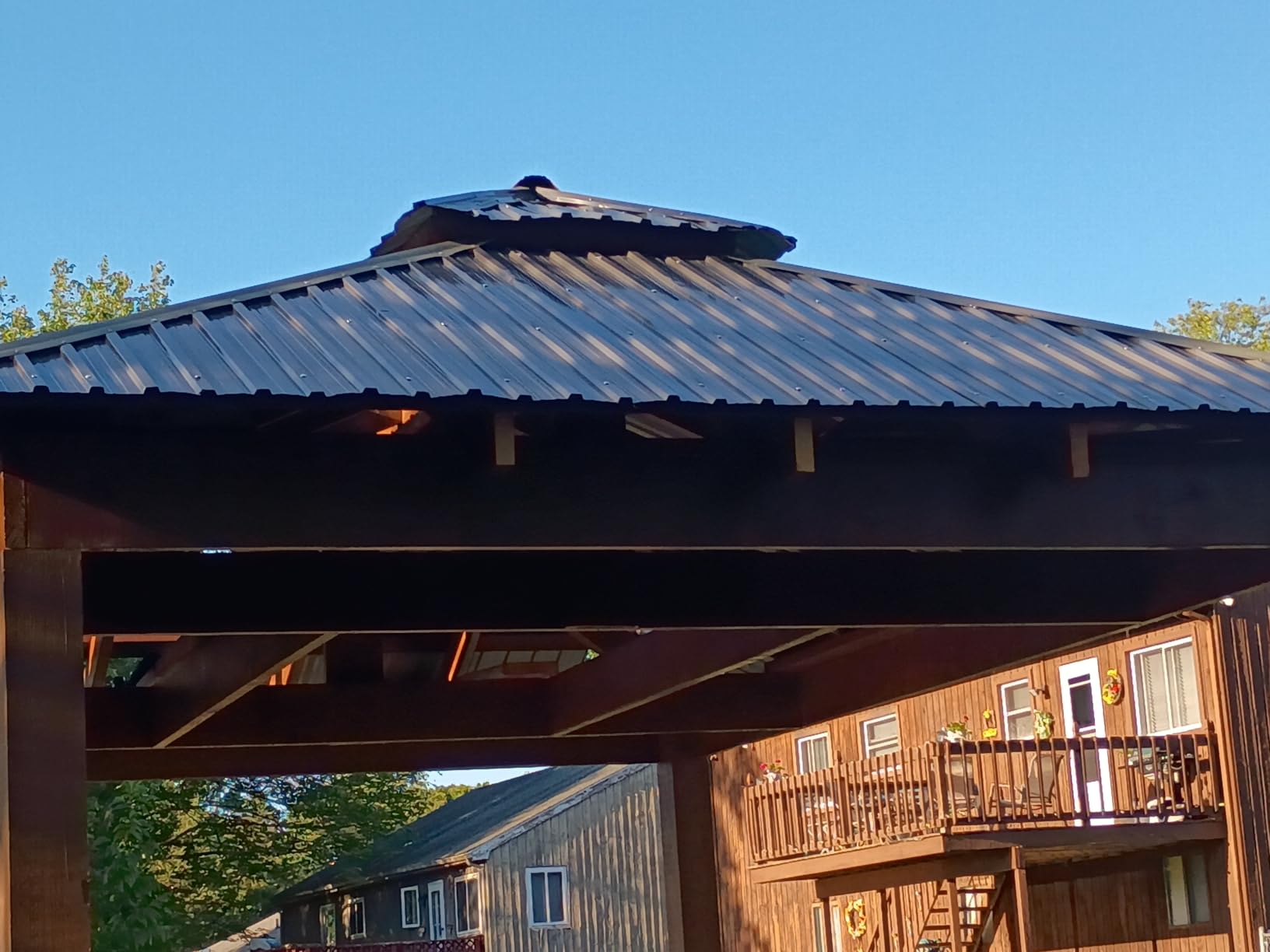 Metal Roof Panels 20 pcs 99 ft² Galvanized Steel Corrugated Tin Roofing Panels Gazebo Top Cover Garages,Sheds, Stables and Mobile Homes Replacement for Patio Outdoor Garden, Black customer photo 1