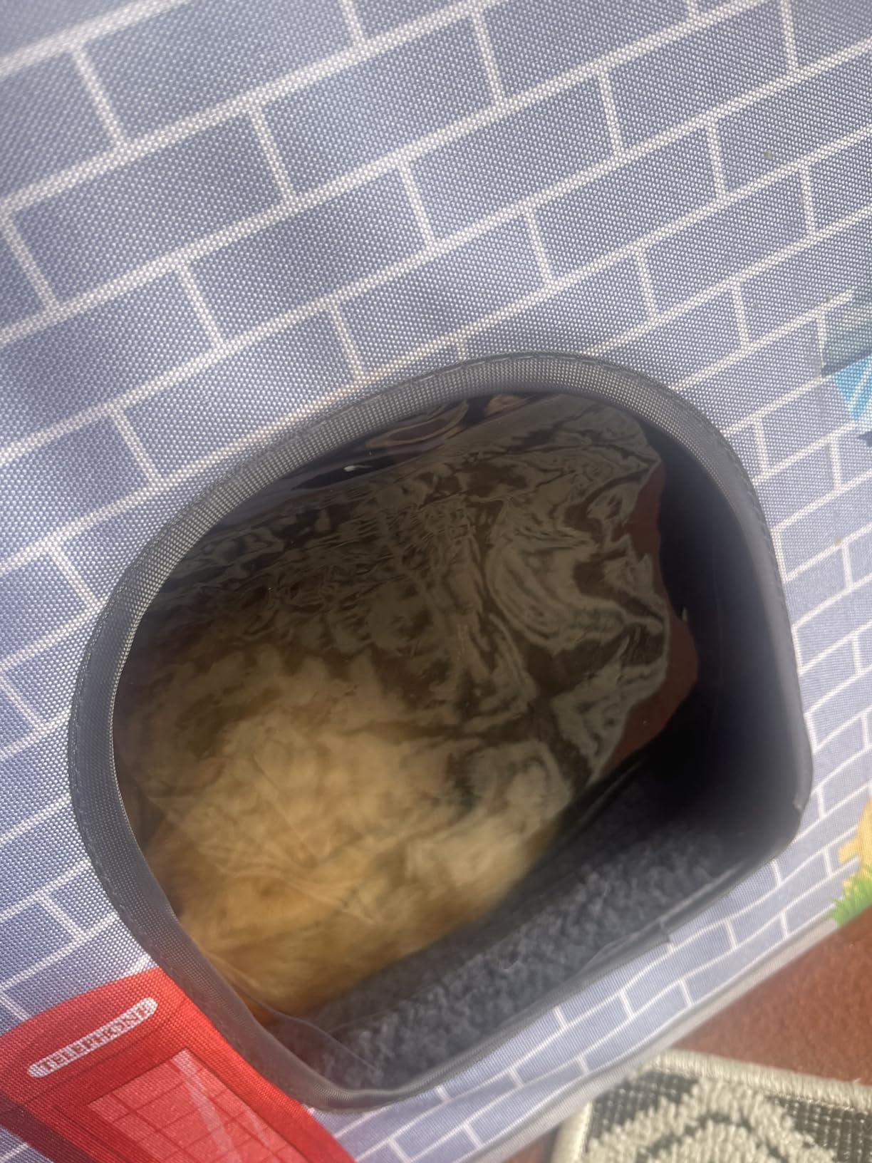 NAMOTEK Large Elevated Heated Cat Houses for Indoor/Outdoor Cats with Heated Cat Bed Waterproof, Insulated Providing Safe Feral Cats, Easy to Assemble Large (23