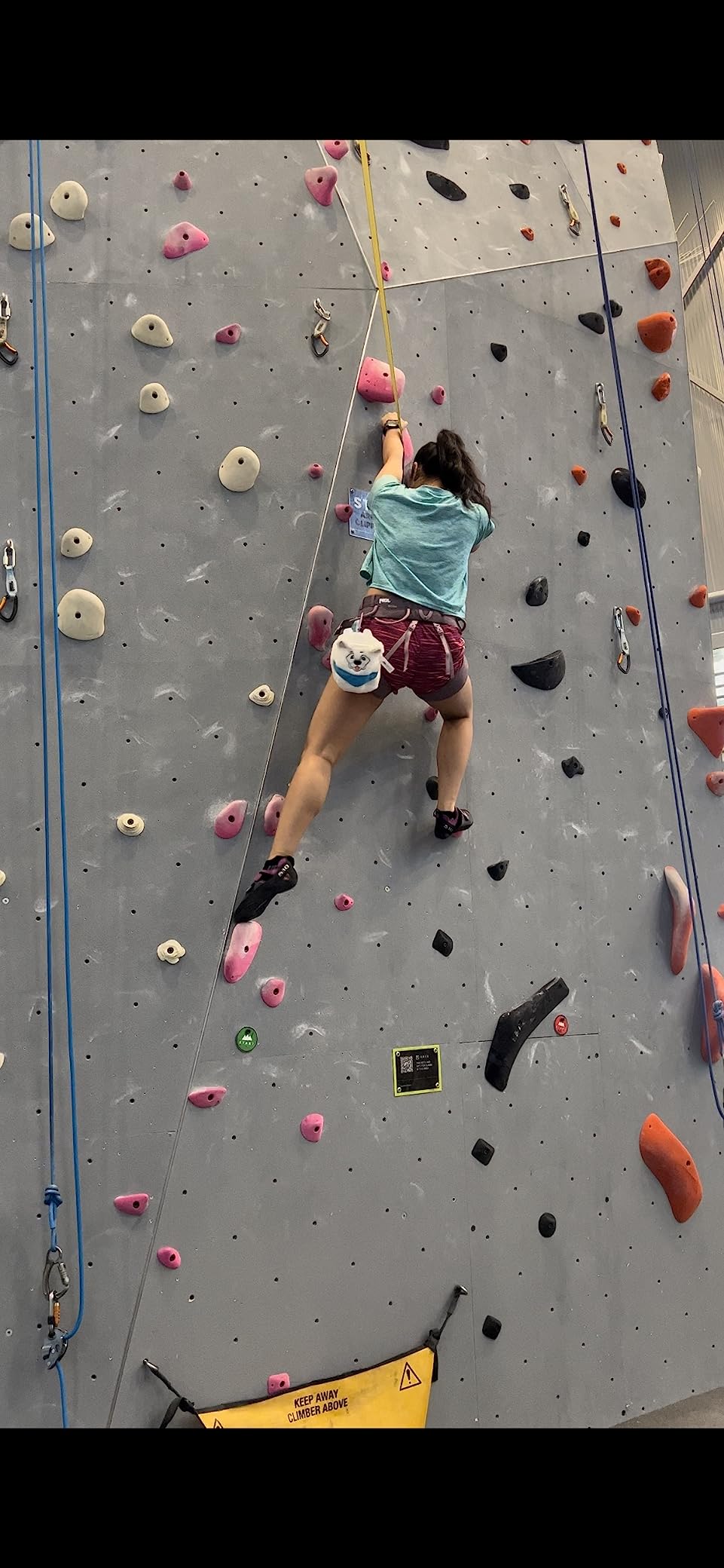 PETZL Selena Women's Climbing Harness customer photo 1