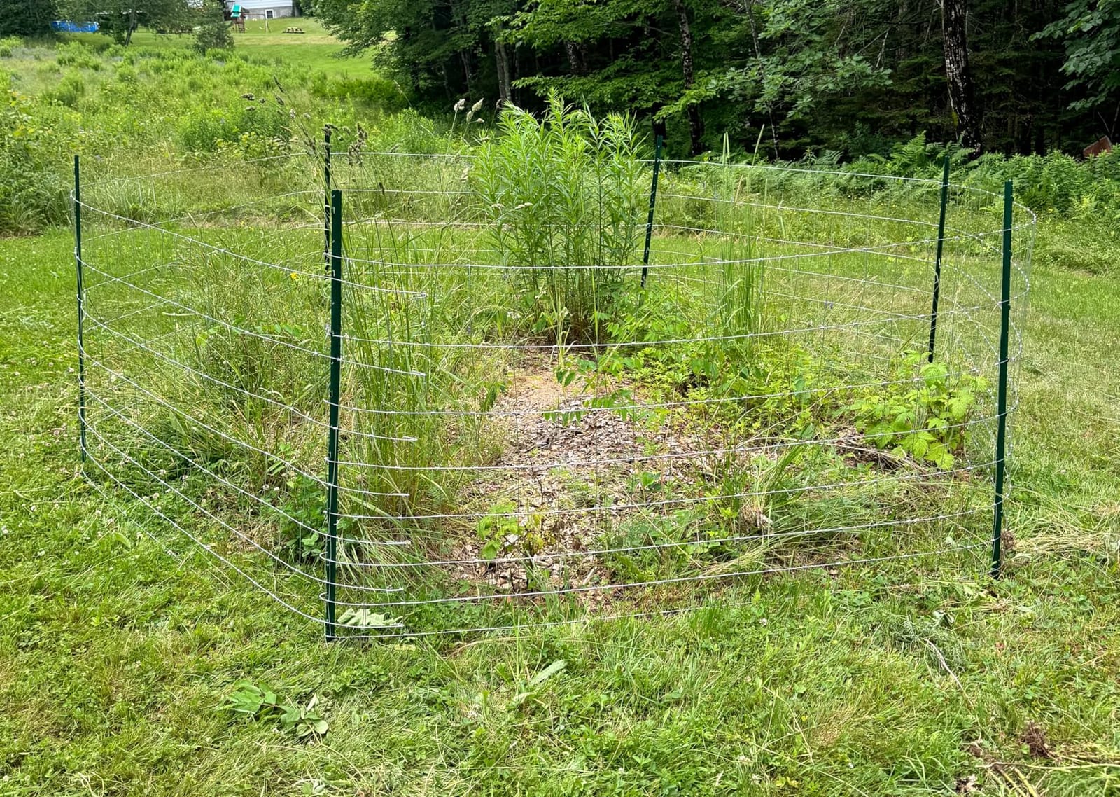 Farm Fence, 4ft x 164ft Galvanized Wire Fencing, Goat, Sheep & Deer, Durable Chain Link Fence, Heavy Zinc Coating Wire Used to Hog Goat Fencing for Yard Garden and Field customer photo 1