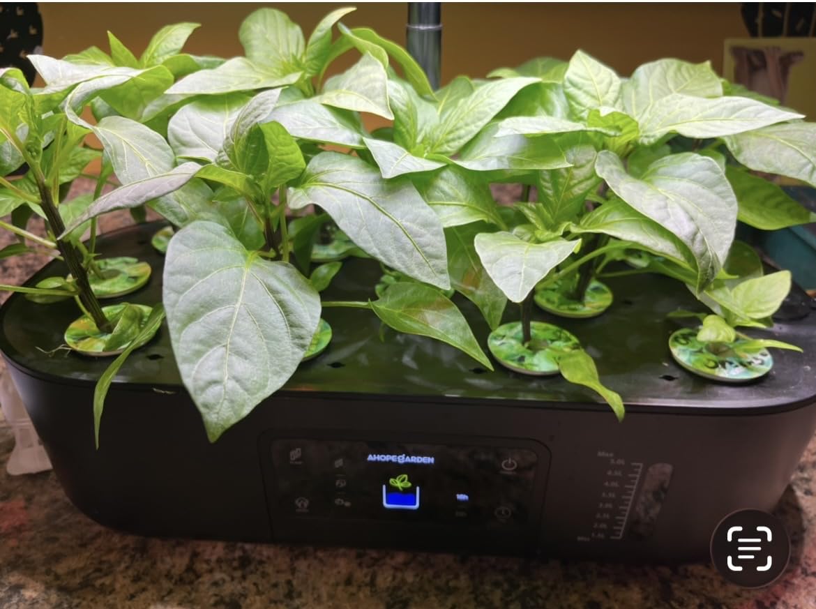Ahopegarden Hydroponics Growing System Kit: 12 Pods with LCD Control Panel | Indoor Herb Garden with Grow Light, Planting Height Up to 17