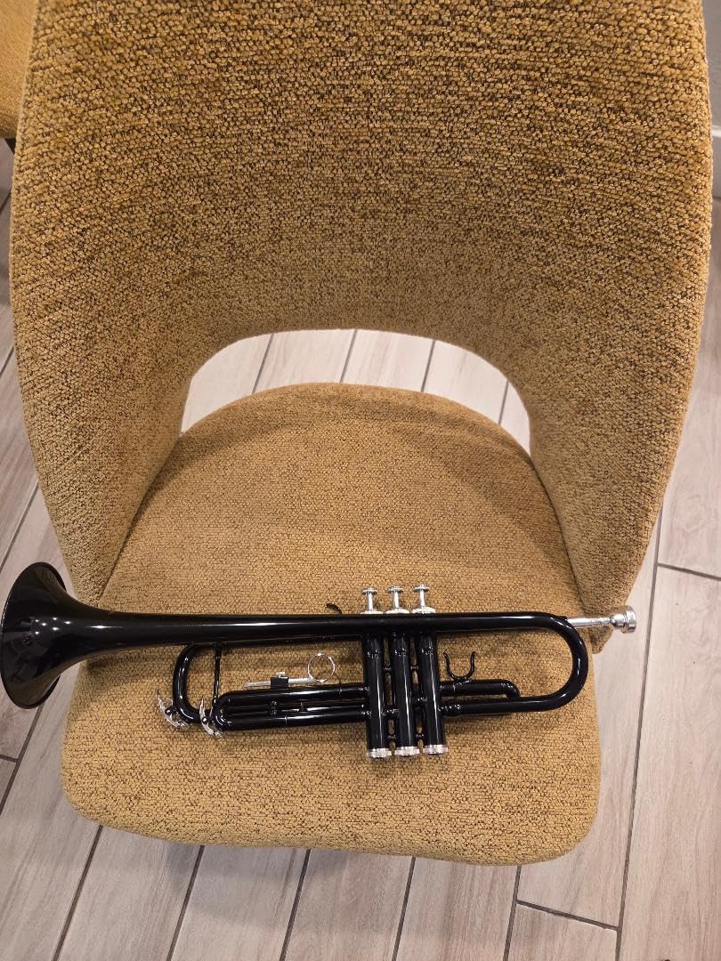 CAHAYA Bb Trumpet Instrument Brass Student Trumpet Trompeta Set Gold | Includes Hard Case, 7C Mouthpiece & Gloves. Standard Brass Trumpet Instrument for Beginner and Advanced Students customer photo 1