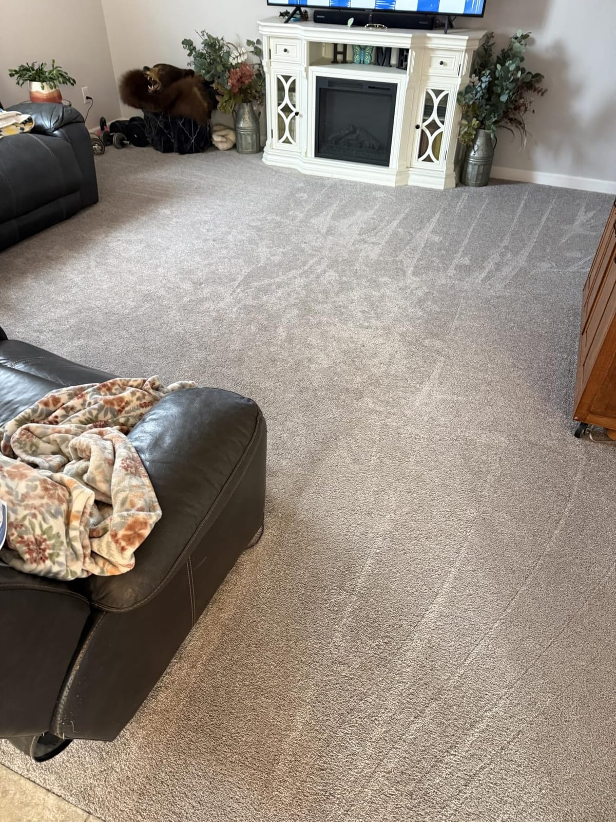 BISSELL TurboClean Upright Pet Carpet Cleaner 3952 | Lightweight Carpet Shampooer, Pet Stain Remover, TurboBrush, Dual Tank System customer photo 1