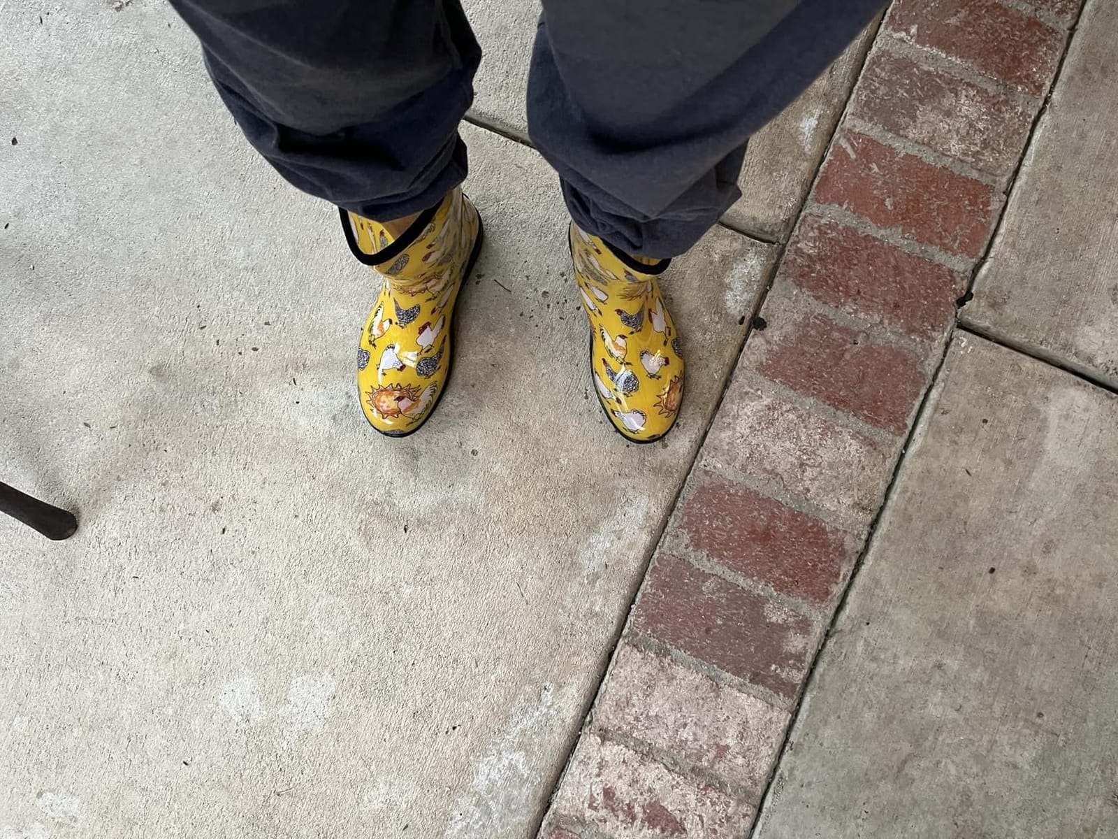 Sloggers Waterproof Garden Rain Boots for Women - Cute MidCalf Boots customer photo 2