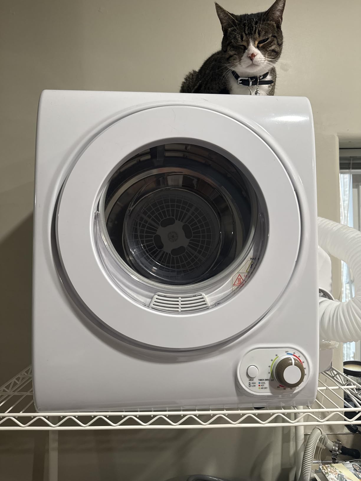 Feelfunn 850W Portable Clothes Dryer with 4 Automatic Drying Modes | Runs on 110V and Combines a Stainless Steel Tub with a Simple Control Knob for Compact Living Spaces customer photo 2