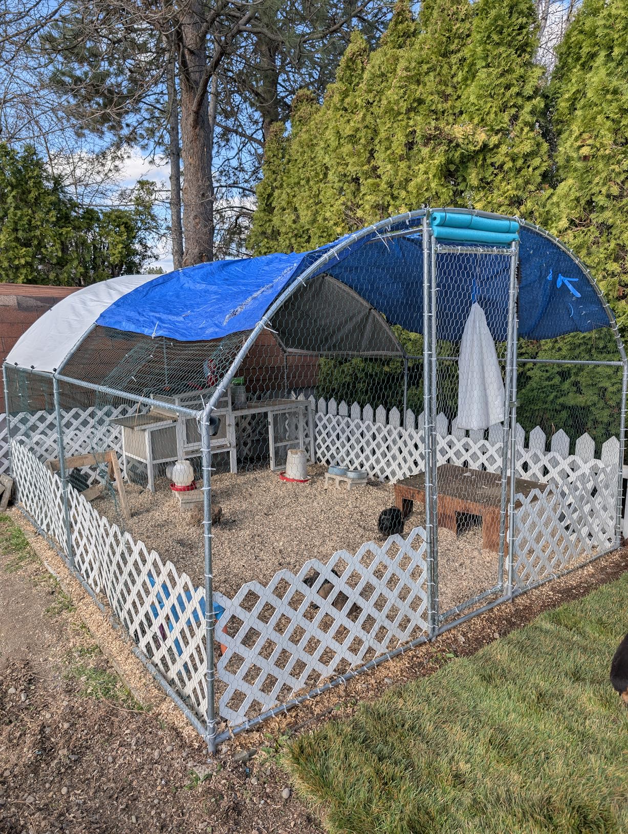 NUGRIART Large Metal Chicken Coop, Outdoor cage Run with Waterproof and Anti-UV Cover, Dome Roof Walk-in Poultry Cage Rabbit Duck House for Outside, Backyard and Farm. customer photo 1