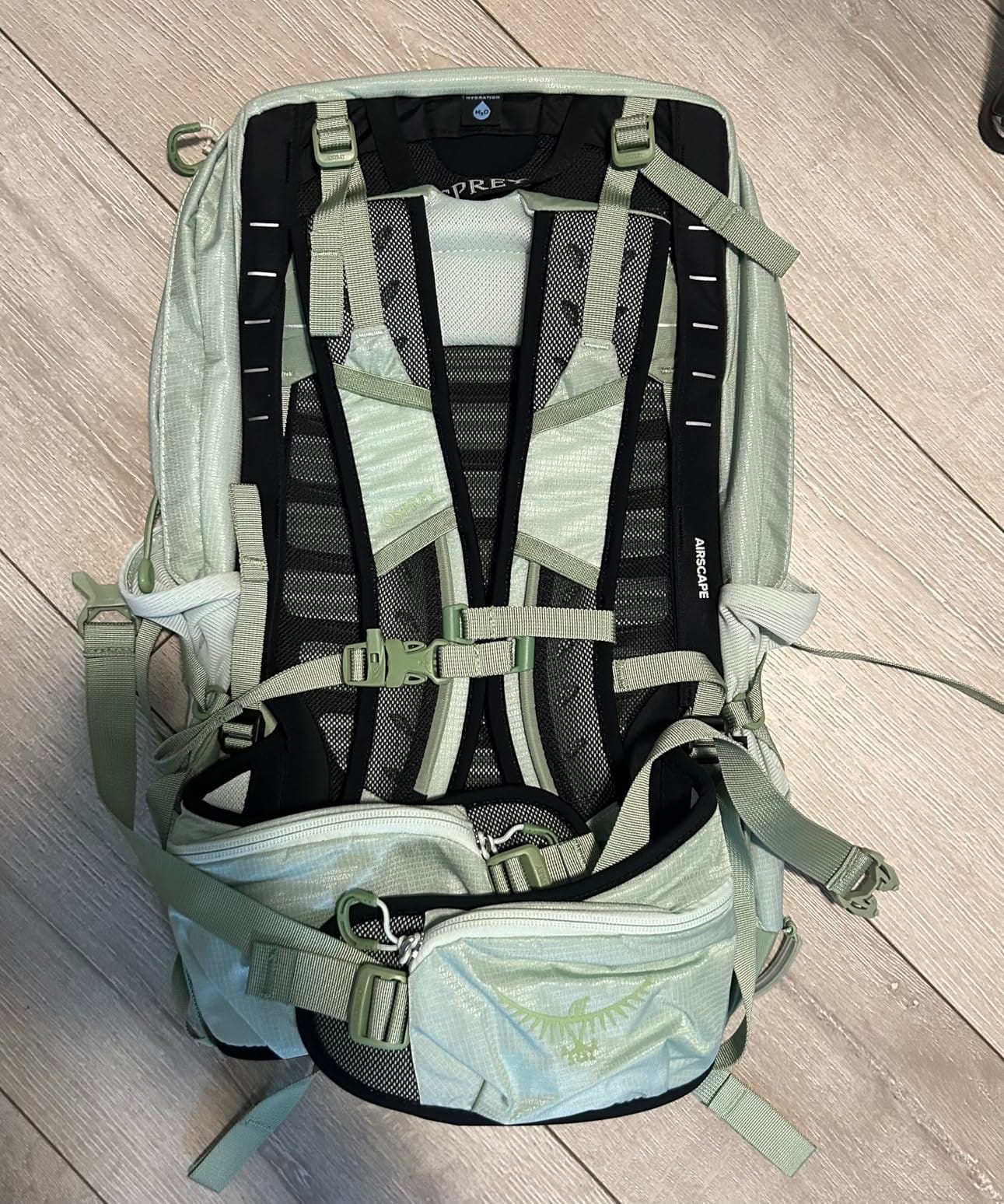 Osprey Tempest 22L Women's Lightweight Hiking Backpack, Green OS customer photo 1