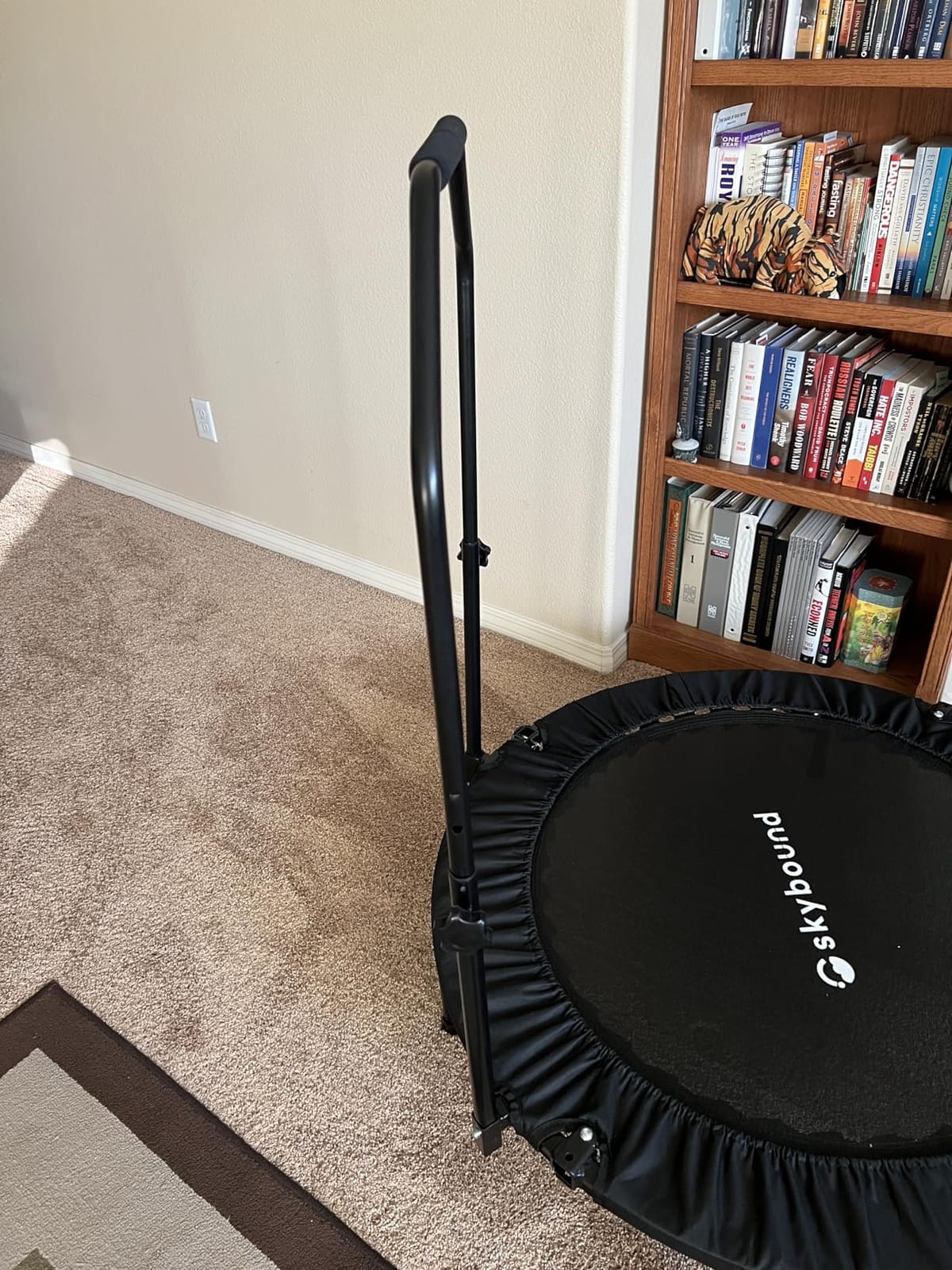 SkyBound Rebounder Trampoline for Adults - Indoor Mini Trampoline with Bar, Fitness Rebounder with 3 Adjustable Foam Handles, Exercise Trampoline for Adults Indoor/Garden Workout customer photo 2