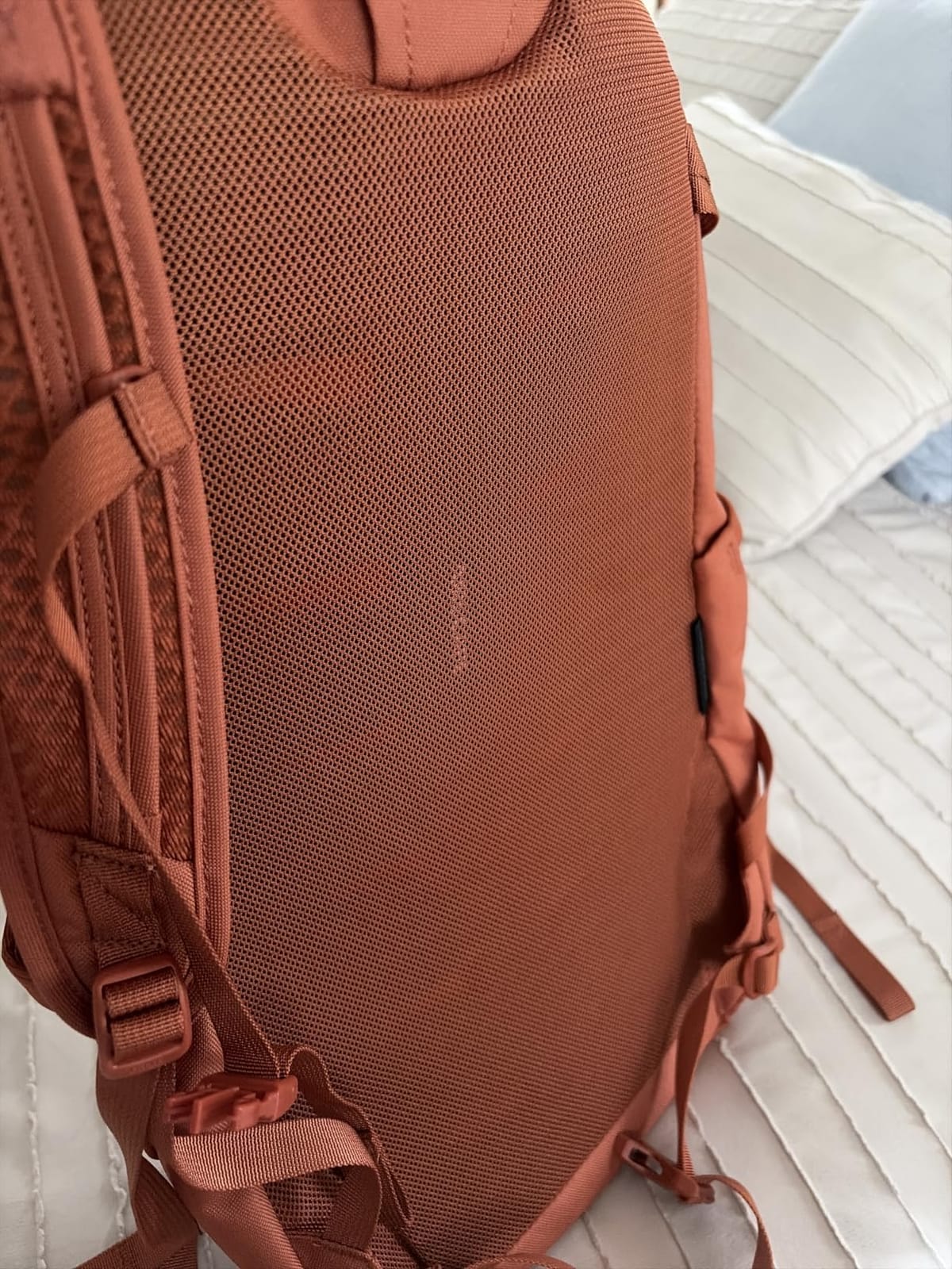 Osprey Daylite Plus Commuter Backpack, Green OS customer photo 1