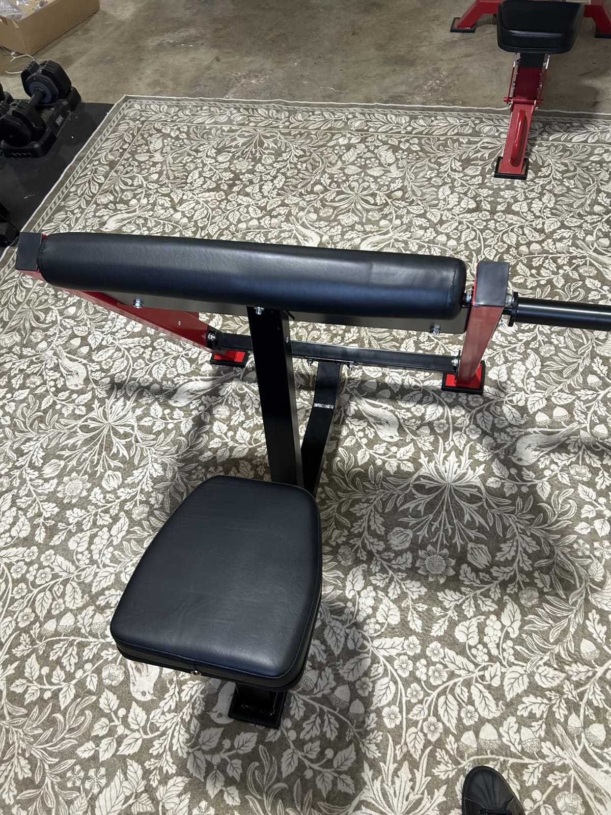 VEVOR Preacher Curl Bench, Strength Training Benches, Max Load 660 LBS Home Gym Fitness Equipment, Seated Arm Isolated Barbell Dumbbell Bicep Station, Adjustable Weight Bench with Bar Holders customer photo 1