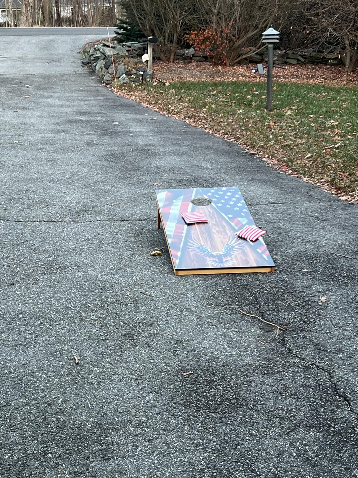 Cornhole Board Set,Corn Hole Games for Adults Outdoor,2X4FT Solid Wood Regulation Cornhole Boards with 8 Cornhole Beans Bags & Carry Case customer photo 2