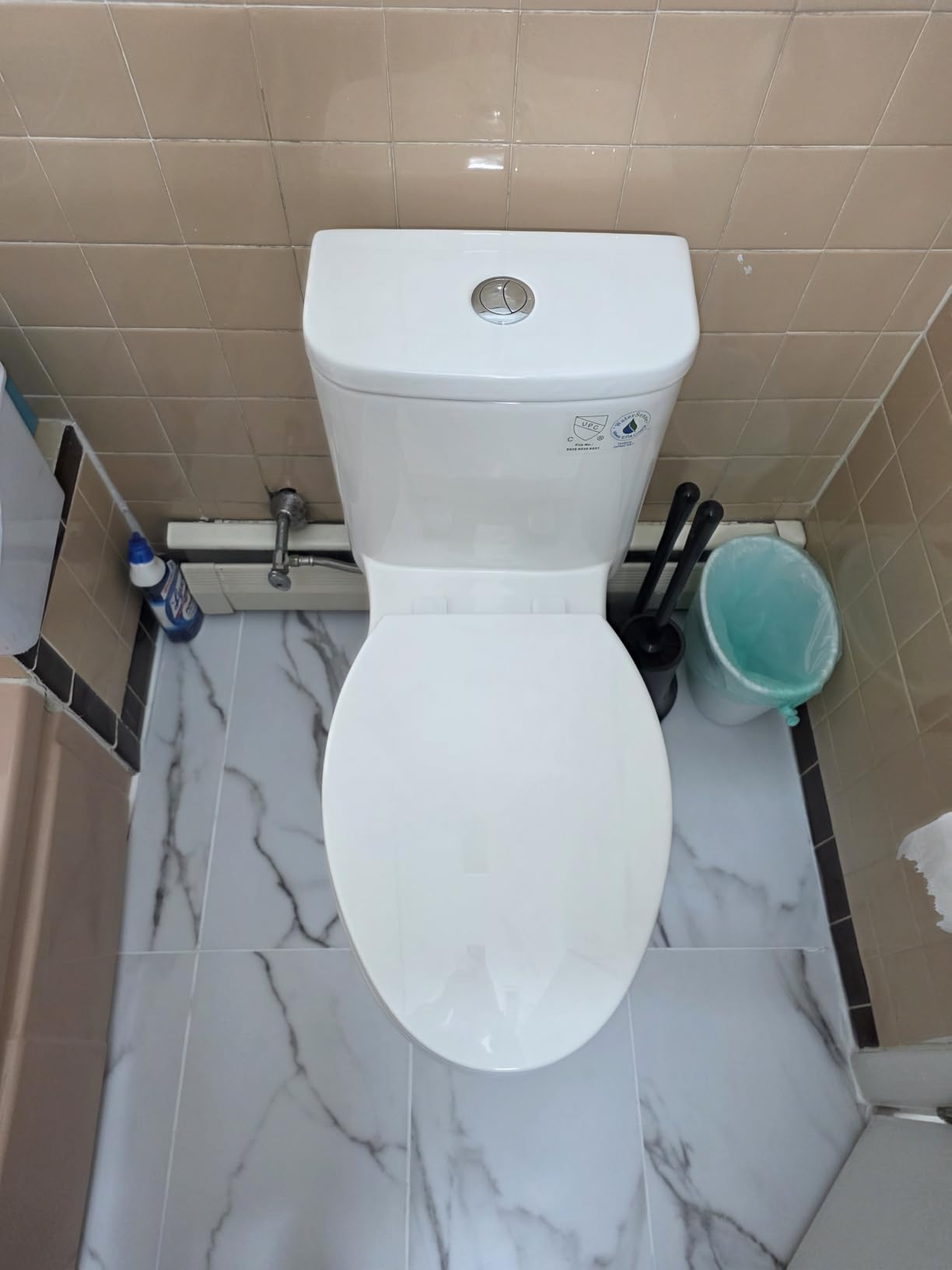 Elongated One Piece Toilet with 17.3