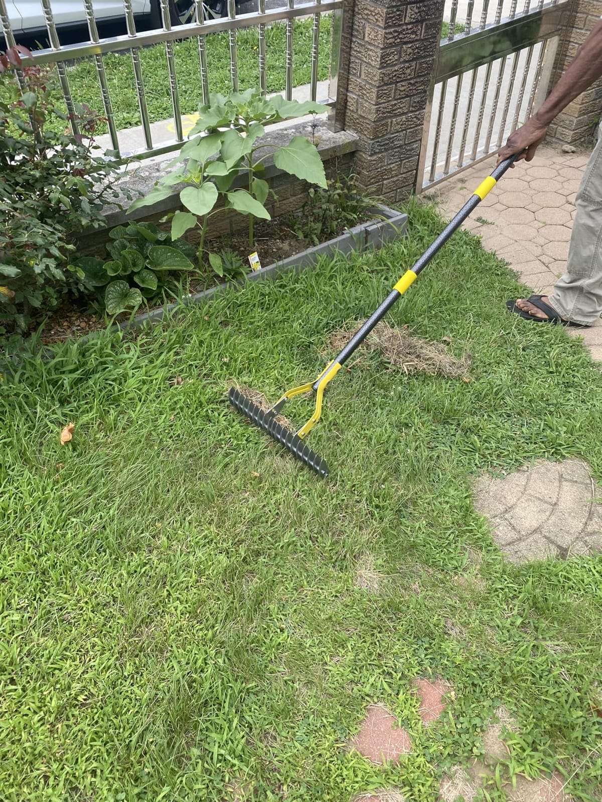 Heavy Duty Thatch Rake for Lawns - 15-Inch Dual-Action Dethatcher Thatching Rake customer photo 2