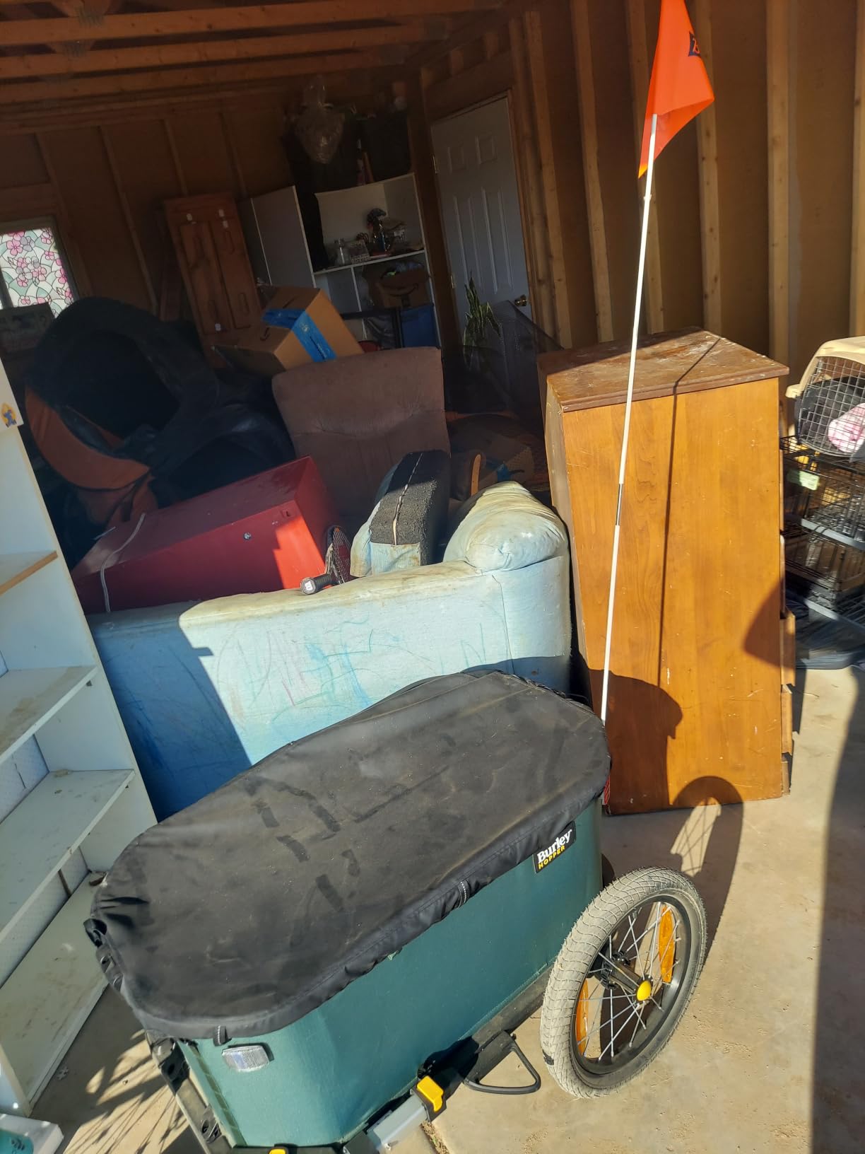 Burley Hopper | Compact Cargo Bike Trailer & Stroller Wagon with Spacious Storage, Rigid Floor, Durable Interior & Parking Brake customer photo 1