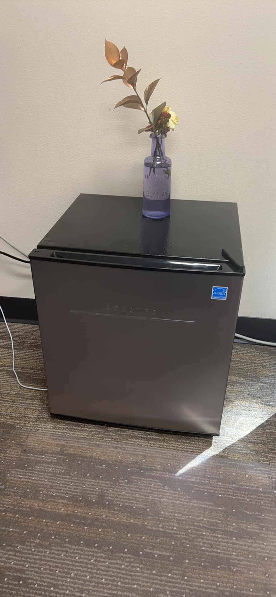 Mini Fridge with Freezer 3.2 Cu.Ft. 2 Door Refrigerator and Freezer Small Fridge for Bedroom Home Office Dorm, Small Drink Chiller, 37 dB Low Noise, Stainless Steel customer photo 1