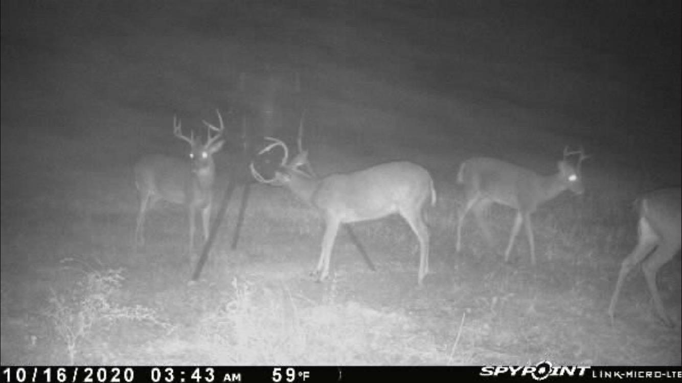 Moultrie Gravity Deer Feeder - Tripod Game Feeder, Easy Conversion Adapter, Protein Pellet Ready, Rugged No-Power Setup for Deer Management customer photo 1