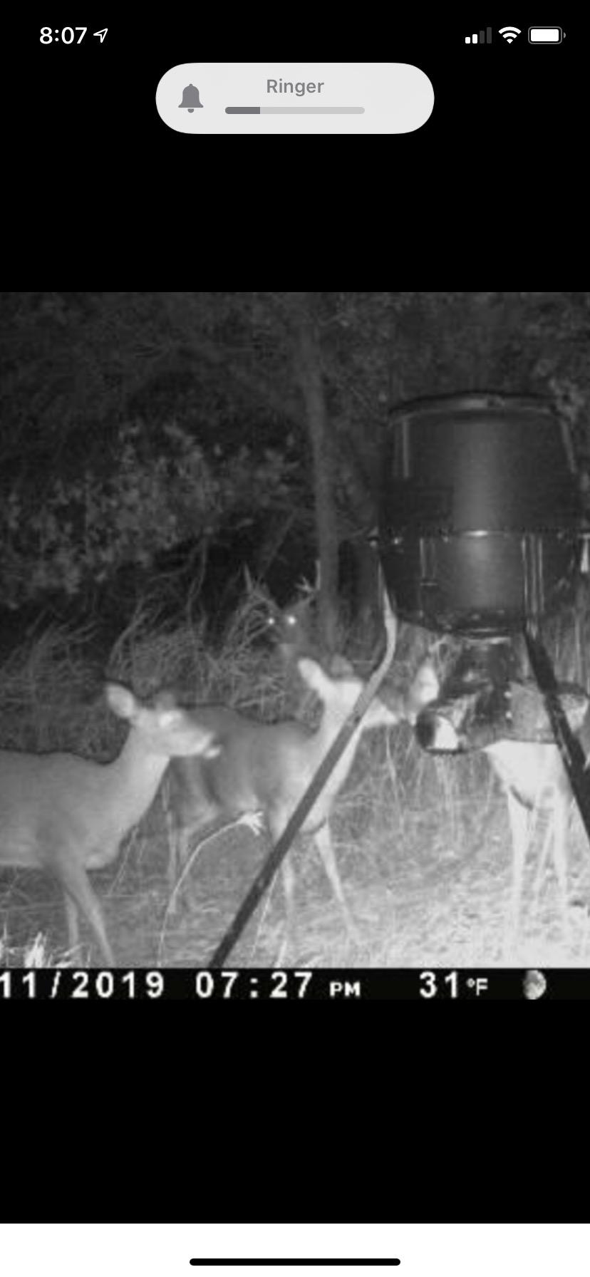 Moultrie Gravity Deer Feeder - Tripod Game Feeder, Easy Conversion Adapter, Protein Pellet Ready, Rugged No-Power Setup for Deer Management customer photo 2