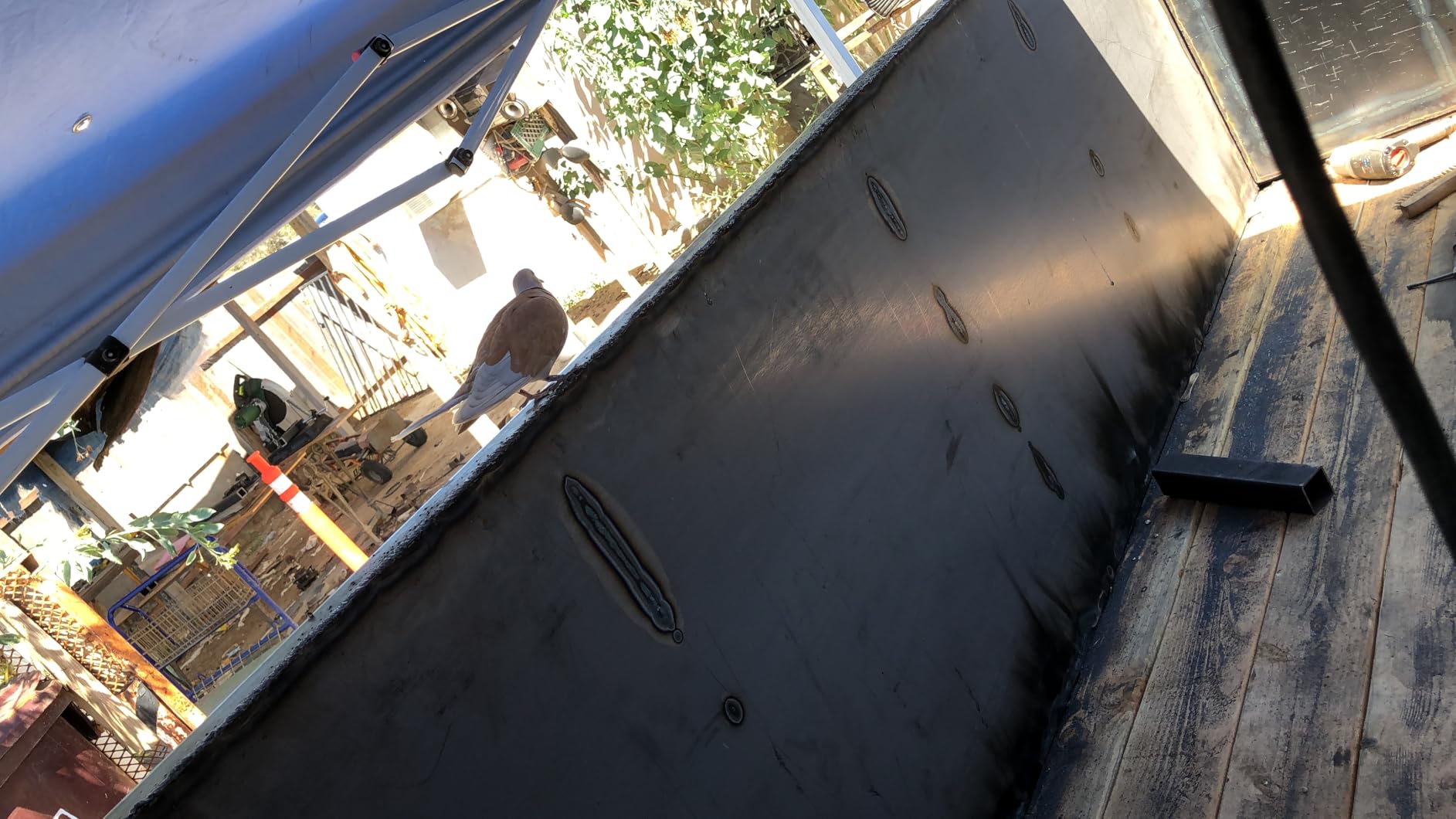 Lincoln Electric Weld-Pak 225i Stick Welder, Dual Voltage customer photo 1