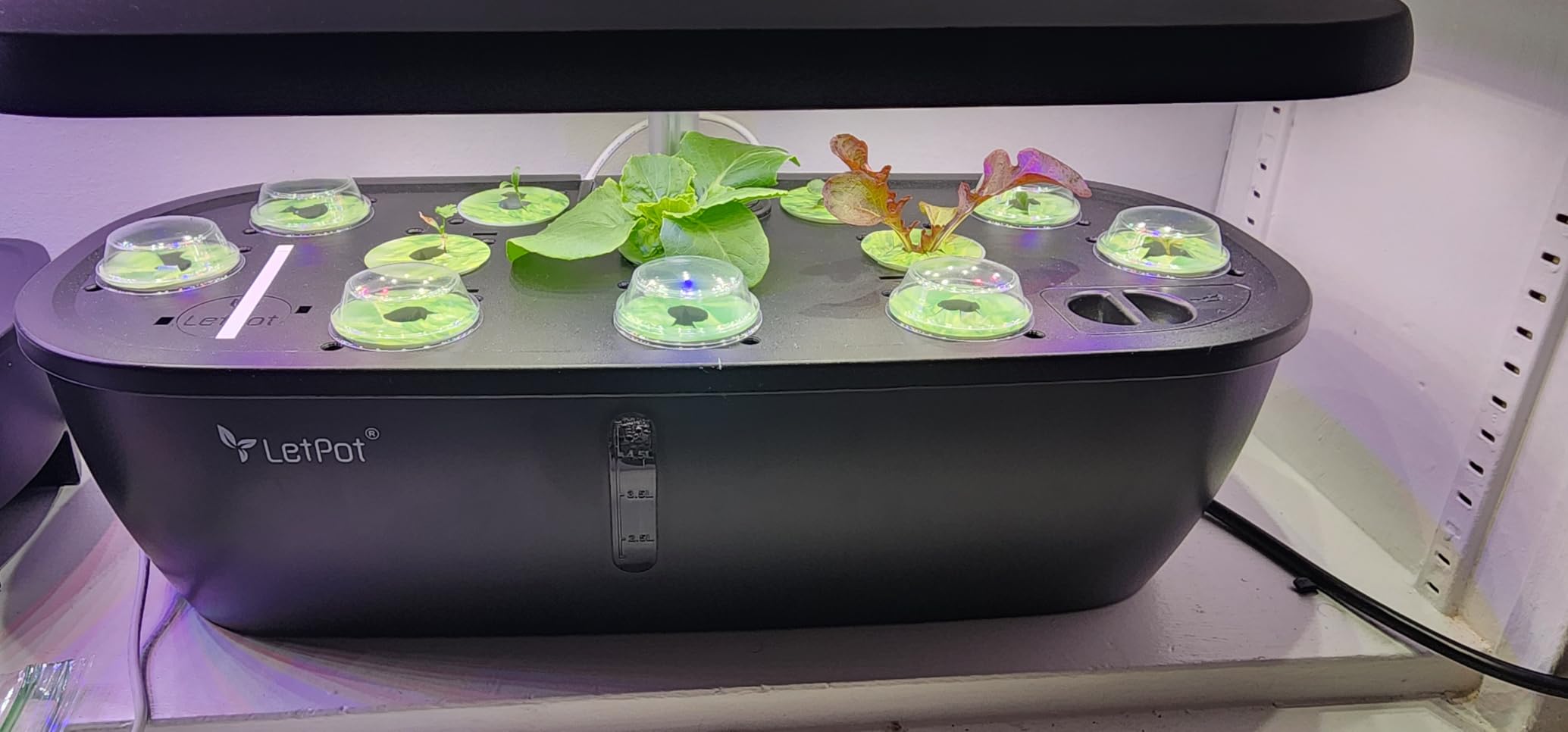 LETPOT Hydroponics Growing System, 12 Pods Indoor Herb Garden Kit with 24W LED Grow Light, 5.5L Water Tank & 16