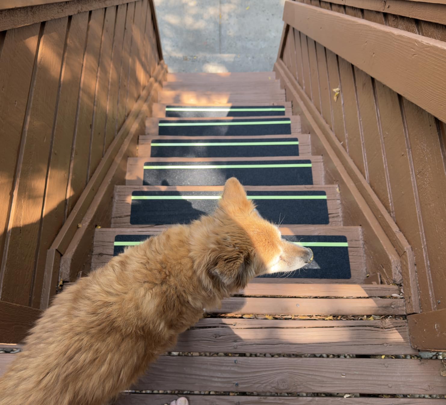 LifeGrip Stair Treads Non-Slip (20PCS), Anti Slip Transparent Stair Treads Tape for Indoor Wooden Step (4