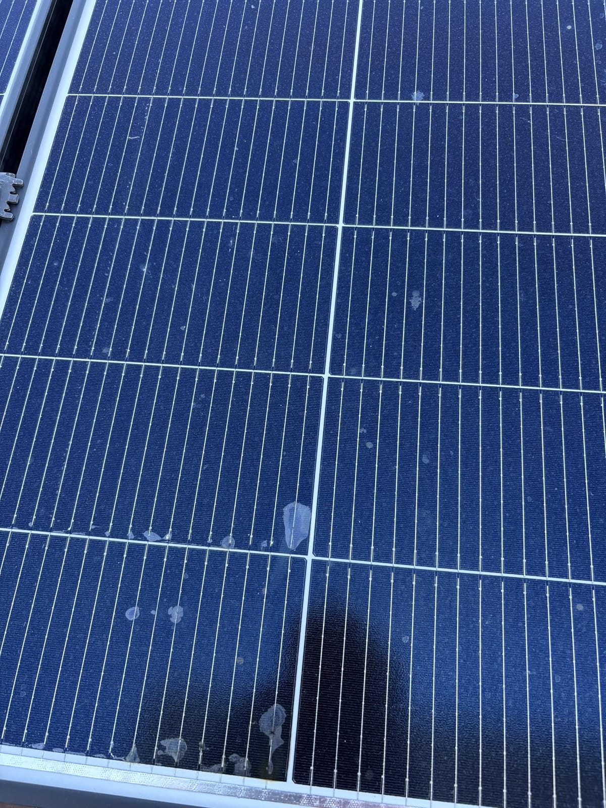 Renogy Solar Panels 2PCS 320 Watt N-Type 18BB, 25% High-Efficient | 640W Monocrystalline Solar Panel Setup, Easy Installation with Fewer Connections for Home Yards Sheds Off-Grid Systems, IP68 customer photo 2