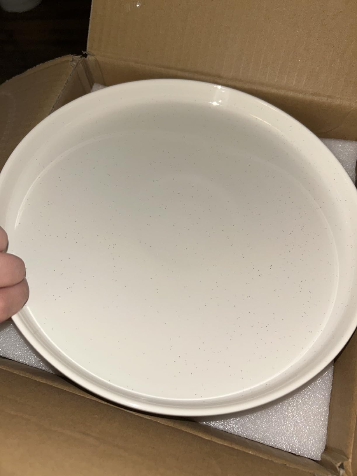 Plates and Bowls Sets, Dinnerware Sets for 4, 12 Pieces Scratch Resistant Dishware Dishes Set, Ceramic Kitchen Dinner Set, Porcelain & Microwave and Dishwasher Safe, Cream White customer photo 1