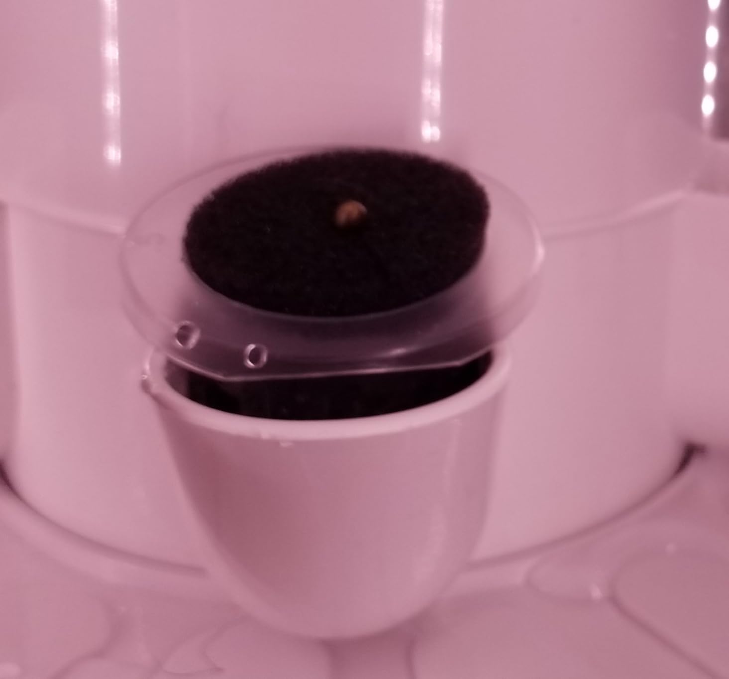CARPATHEN Hydroponic Tower Growing System, Indoor Gardening for 30 Plants | 6 Hydroponic Columns, Grow Lights, Water Pump, Seedling Kit, 35 Grow Sponges + Net Pots, Water-Level Gauge, pH and TDS Meters customer photo 2