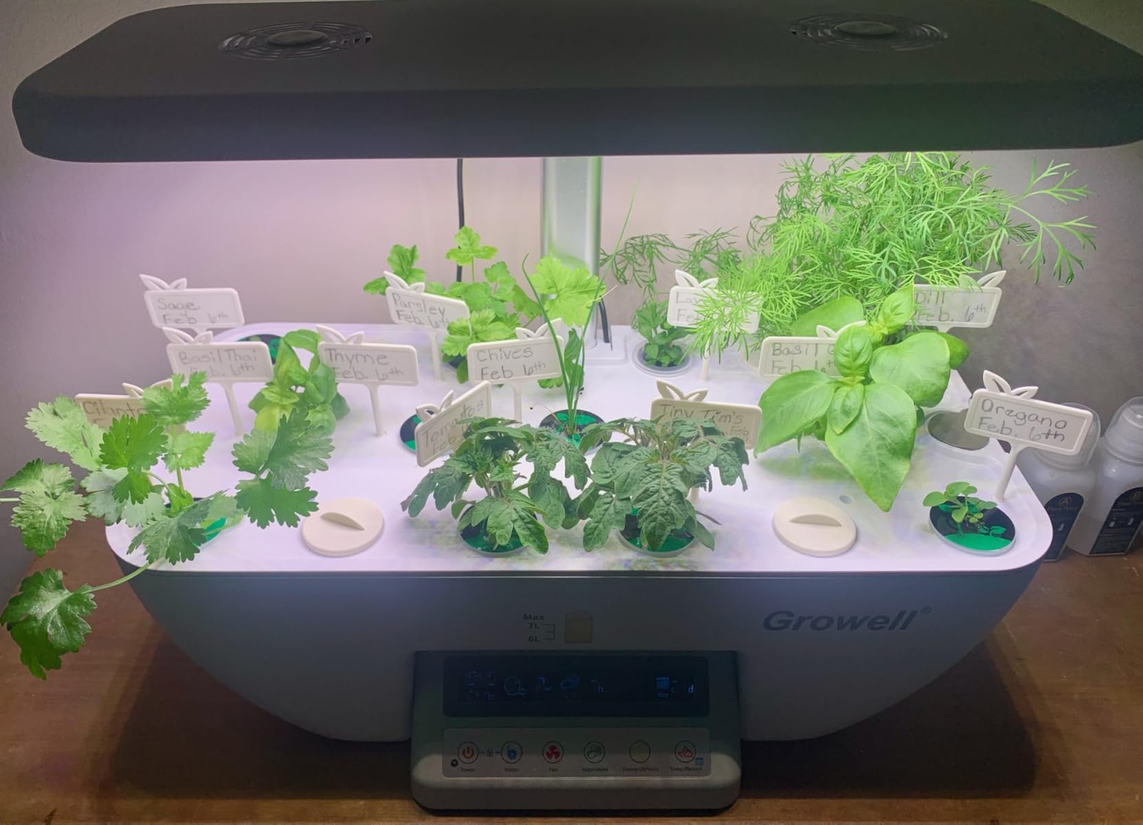 Growell 17 Pods Hydroponics Growing System Kit, Indoor Garden with 2 Fans | for Airflow & Anti-Mold, LED Grow Light, Smart Water Cycle, Auto Timer, 10L Large Water Tank, Gardening Gift, Black/White customer photo 1
