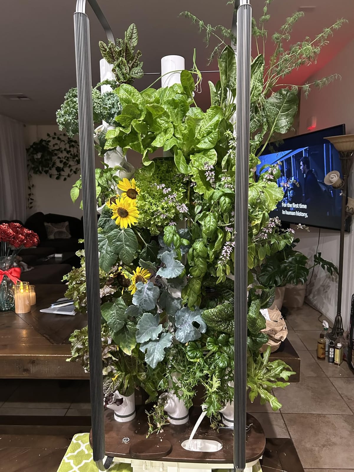 Gardyn Home 4 Vertical Hydroponics Growing System Kit - 30 Plants | AI-Powered Smart Garden with LED Grow Lights. Grow pesticide-free, non-GMO greens & veggies at home customer photo 1