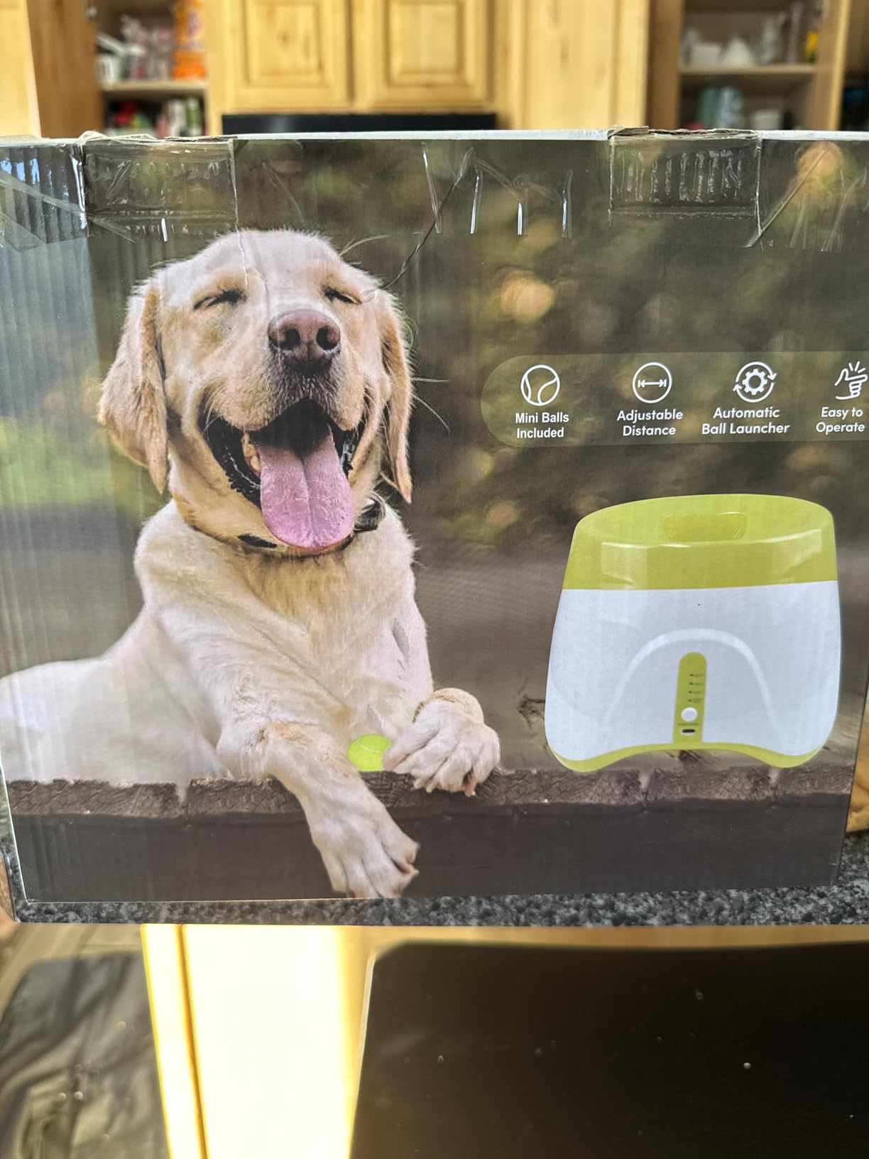 Automatic Ball Launcher for Dogs: 40-80FT Thrower Fetch Machine | Remote Control|3 Distance Settings|8 2.5