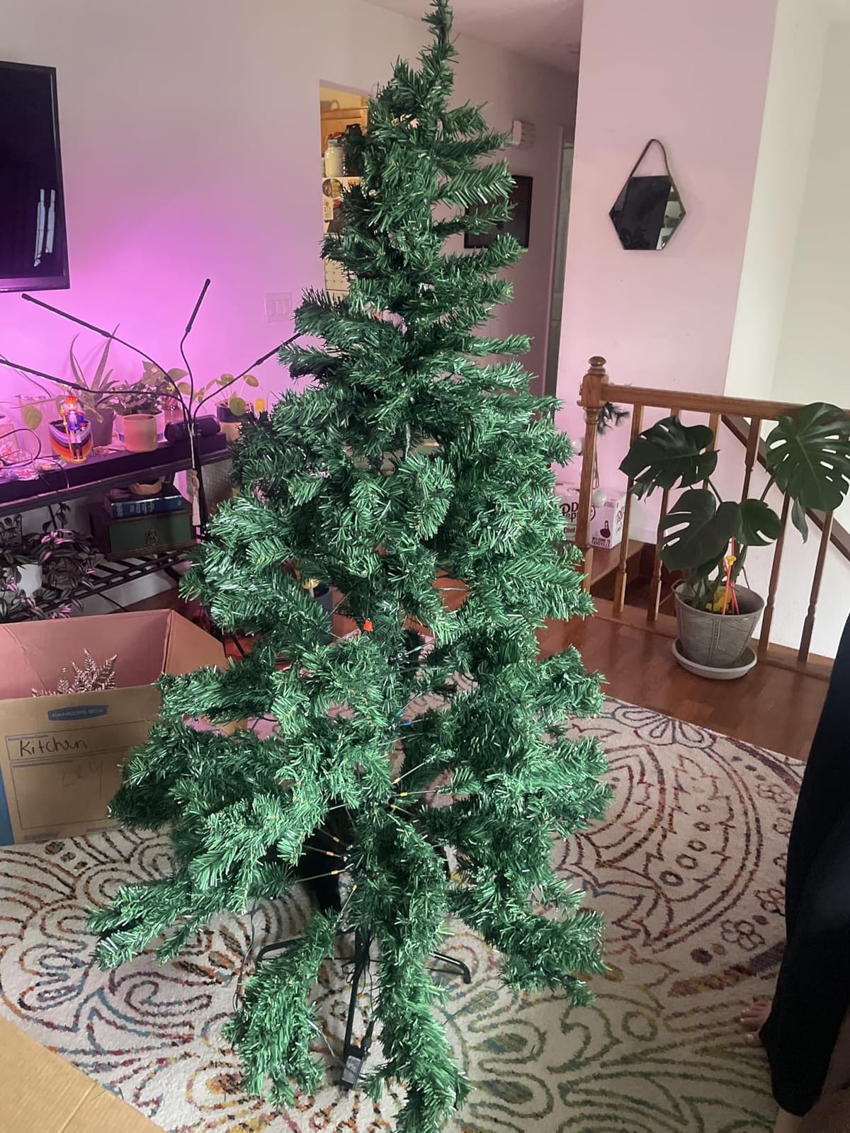 LEVELEVE Premium 6FT Pre-Lit Classic Artificial Holiday Christmas Tree w/1,000 Branch Tips, 250 LED Lights for Home, Office, Party Decoration customer photo 1