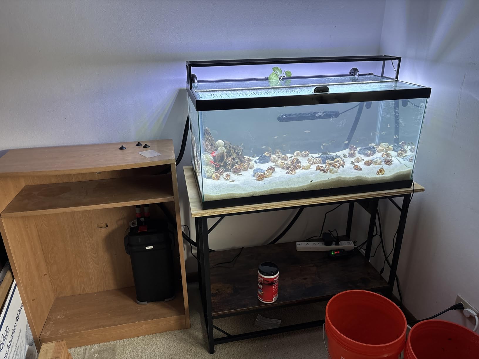 METYERRY 55 Gallon Fish Tank Stand with Power Outlet,Adjustable Shelf | 860 LBS Heavy Duty Metal Frame, Fits Fish Tanks Reptile Tanks and Turtle Tanks, Water Resistant Board, Home Aquarium Setup customer photo 2