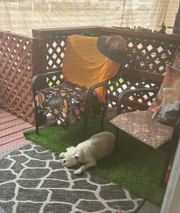Artificial Grass Rug Indoor Outdoor 7 x 15FT Faux Grass with Drainage Holes | Realistic Artificial Lawn Rug Dog Pets Mat, Turf Carpet for Garden Lawn Landscape Balcony Patio Backyard Decor customer photo 1