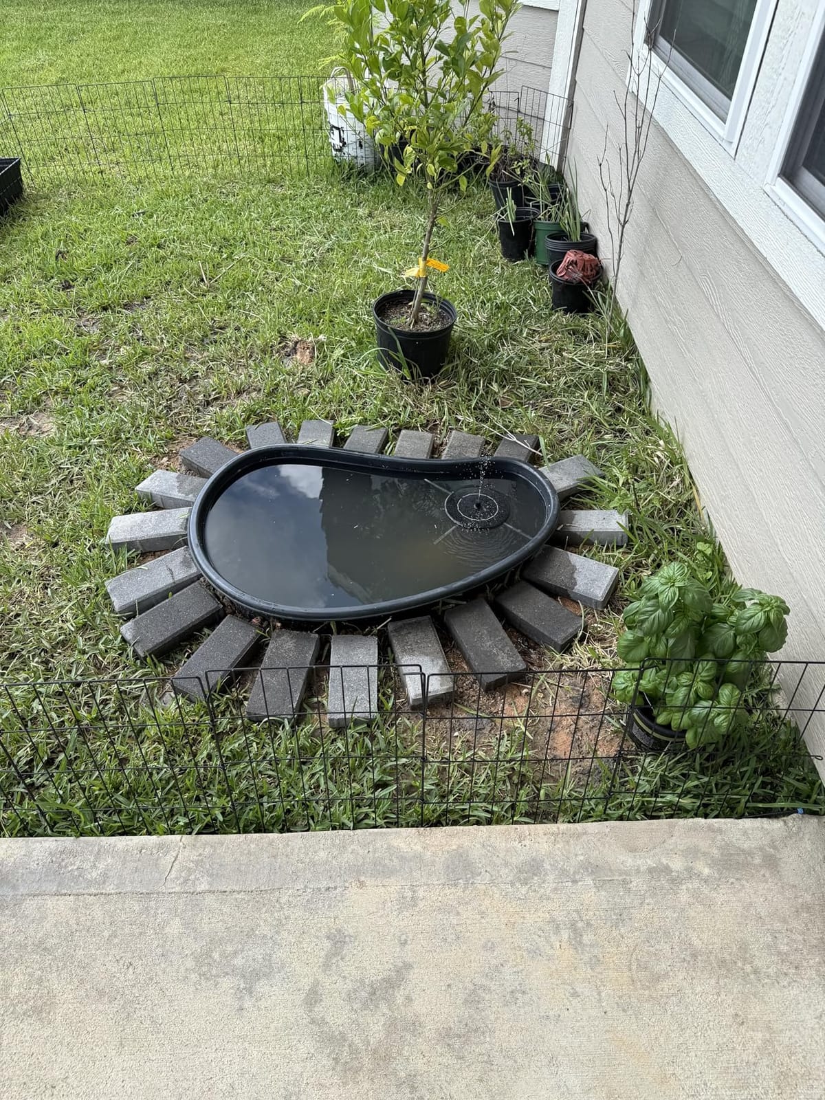 POPOSOAP Preformed Pond Liner, 33 Gallon Rigid Plastic Pond Tub Heavy Duty U-V Resistant Basin with Integrated Plant Shelves for Backyard, Garden and Patio Landscaping P797 customer photo 2