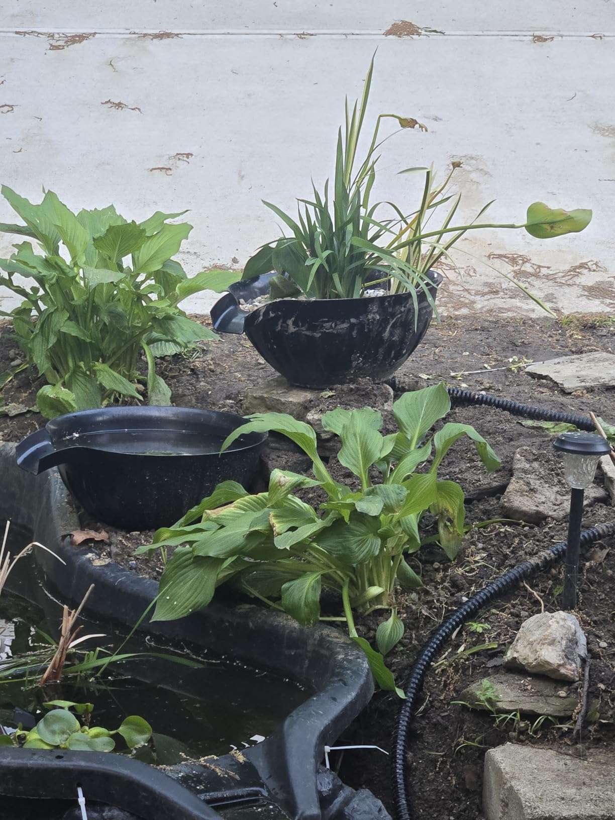 POPOSOAP Spillway Bowl and Basin Fountain Kit, Spillway Bowl Fountain with Pond Pump for Formal Waterfall Spillways, Water Gardens Basin Kit For Indoor/Outdoor DIY Water Feature Pond Garden-P721 customer photo 1