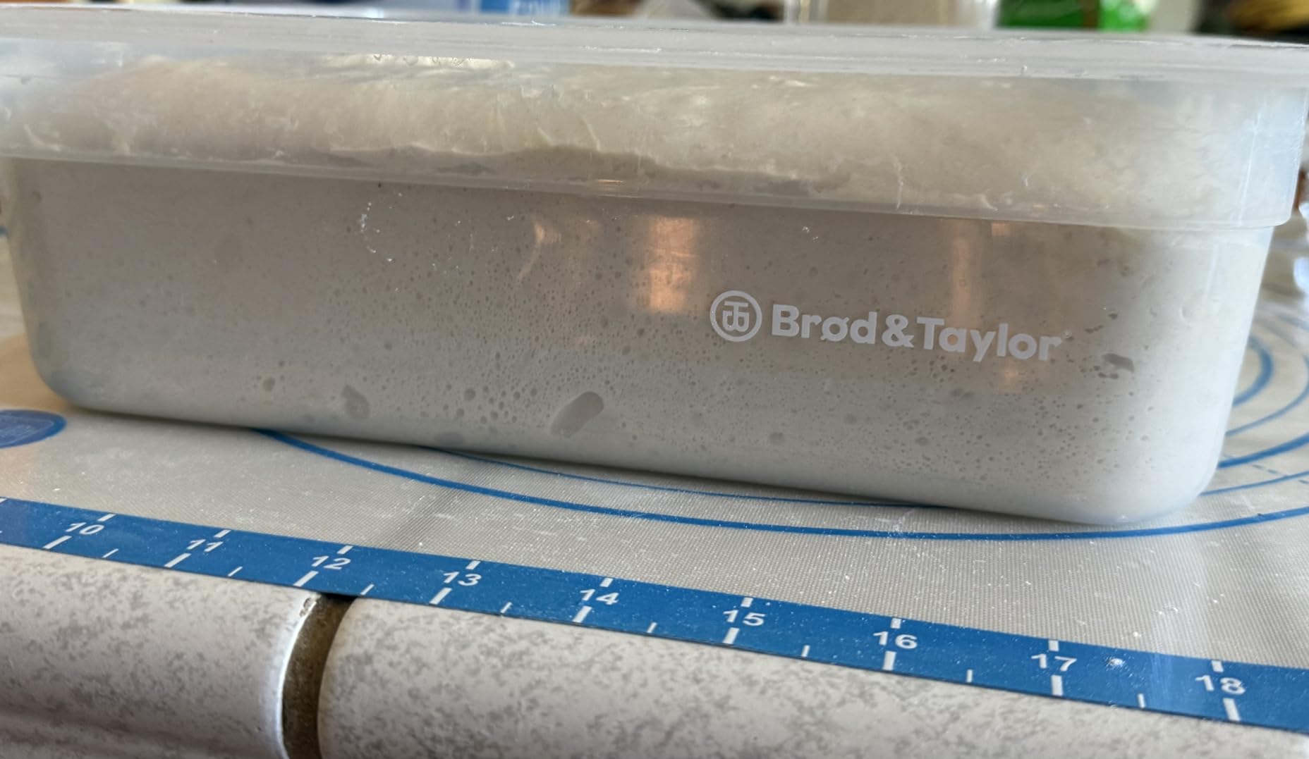Brod & Taylor Proofing Container (2 Pack) With 6L Capacity, Fits Up to 3000 Grams of Dough - Dough Rising Box for Bread, Sourdough & Pizza (Dishwasher Safe, BPA-Free) customer photo 2