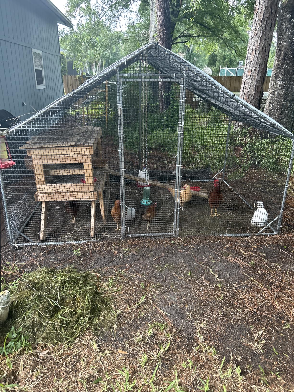 Large Walk-in Chicken Coop with Chicken Run, Galvanized Poultry Enclosure with Waterproof Anti-UV Cover and Security Lock, Ideal for Rabbit, Duck, Backyard and Farm Yard，9.8'x 6.6'x 6.6' customer photo 1